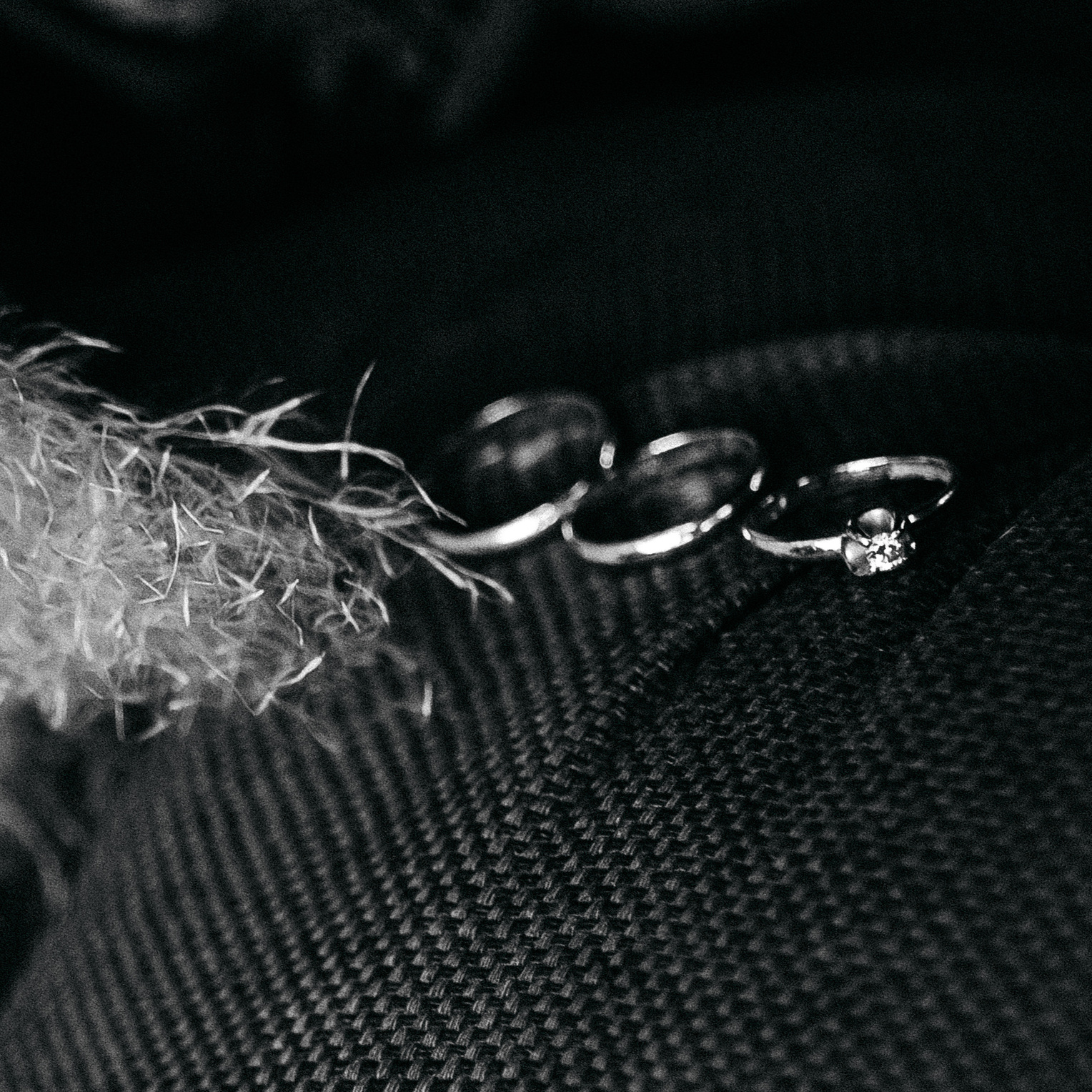 Услуги. Свадебный, семейный и женский фотограф в Москве Аникина Ольга