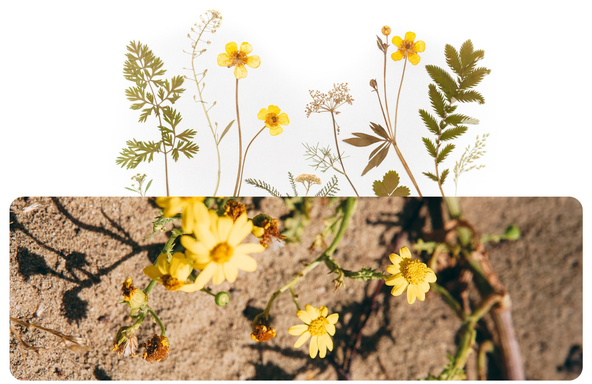 Калининград 1. Фотограф из Москвы — DASHA NOVA | Авторская фотография в разных жанрах