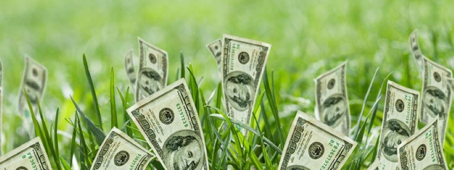 Интенсив «Мои деньги»