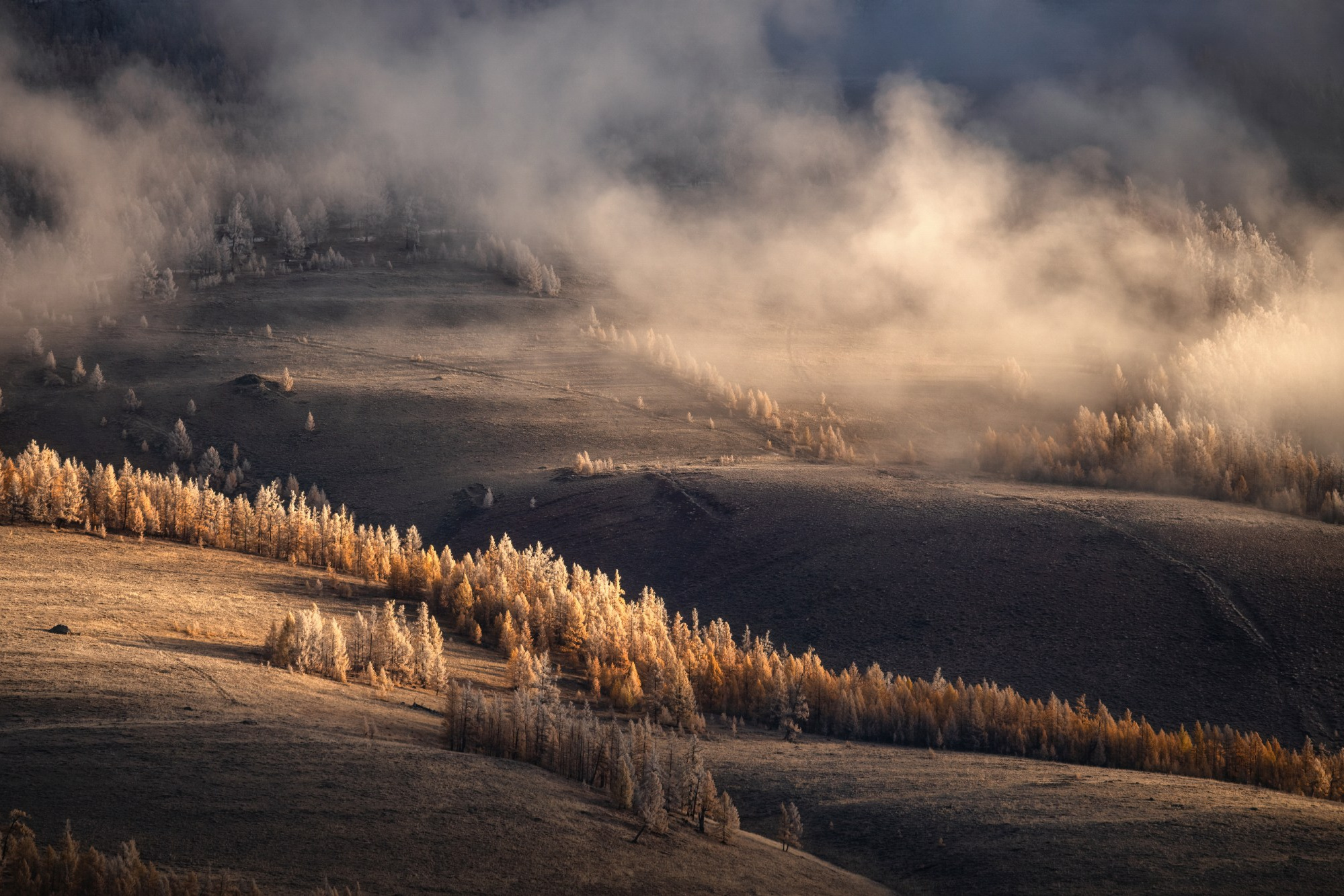 Серия «Дыхание гор» фотографа Алёны Рубан на выставке «Алтай без людей». Профессиональный пейзажный фотограф Алёна Рубан