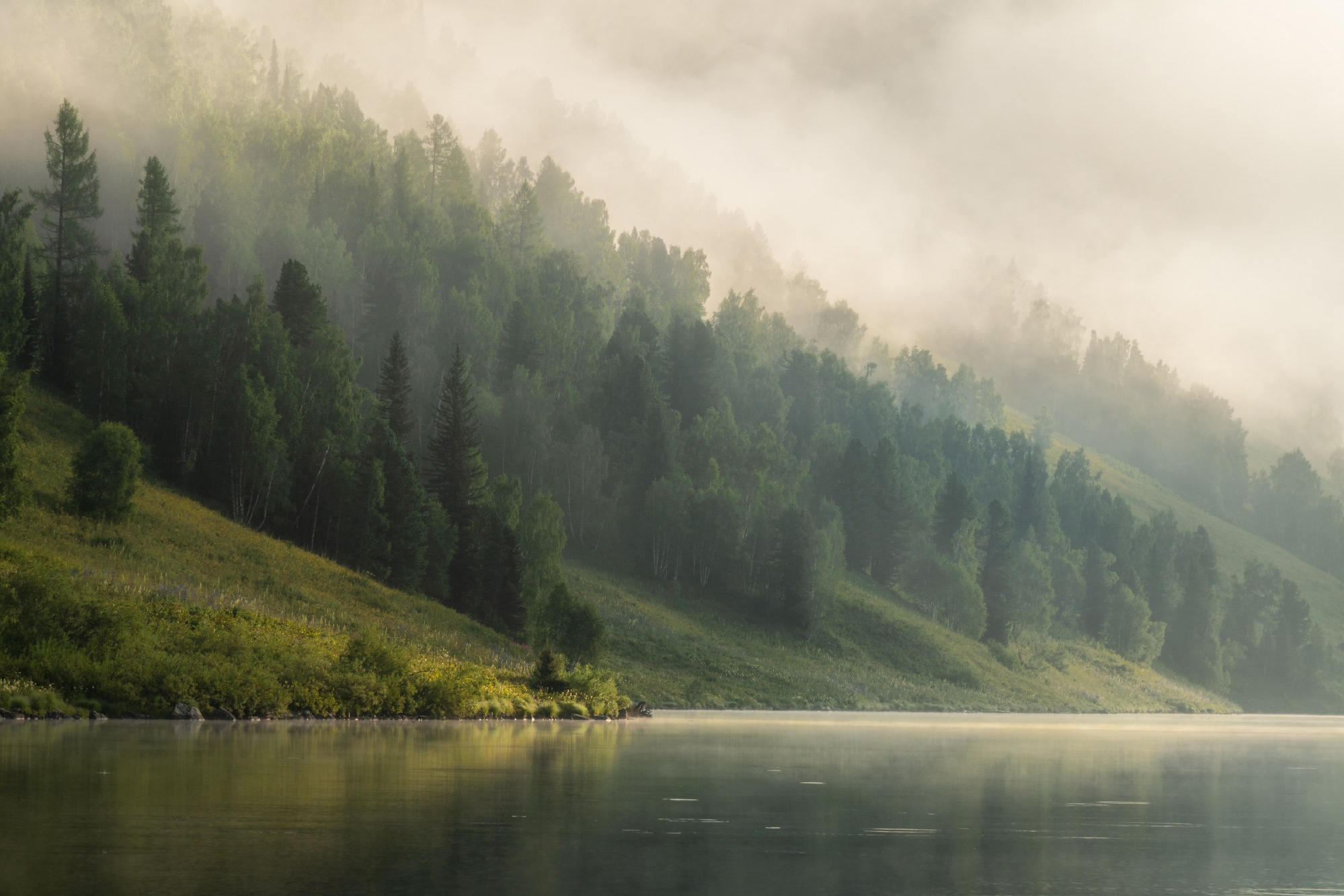 Серия «Дыхание гор» фотографа Алёны Рубан на выставке «Алтай без людей». Профессиональный пейзажный фотограф Алёна Рубан