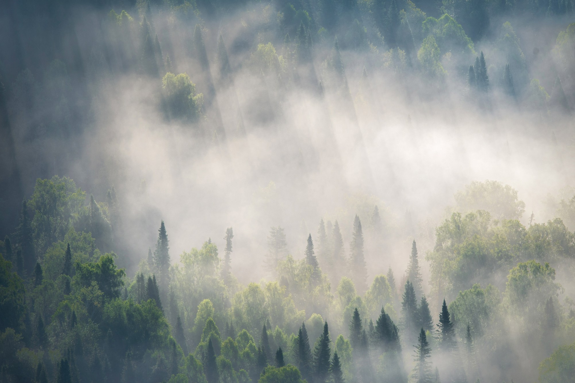 Серия «Дыхание гор» фотографа Алёны Рубан на выставке «Алтай без людей». Профессиональный пейзажный фотограф Алёна Рубан
