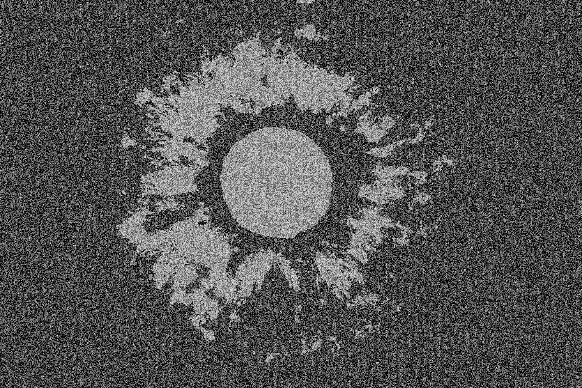 Vasilev Dmitrii Artist