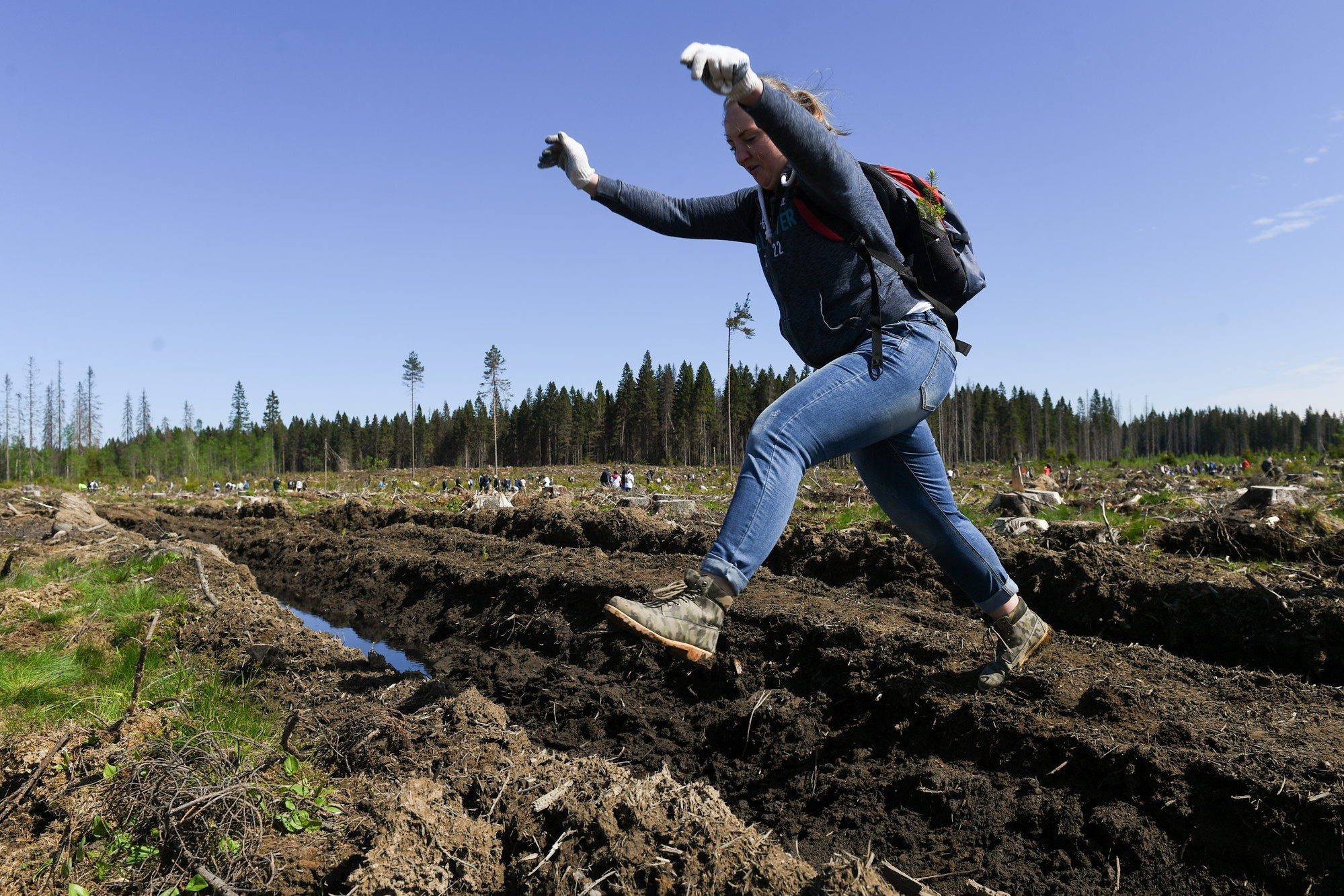 Высадка леса. Документальный фотограф Сергей Вдовин