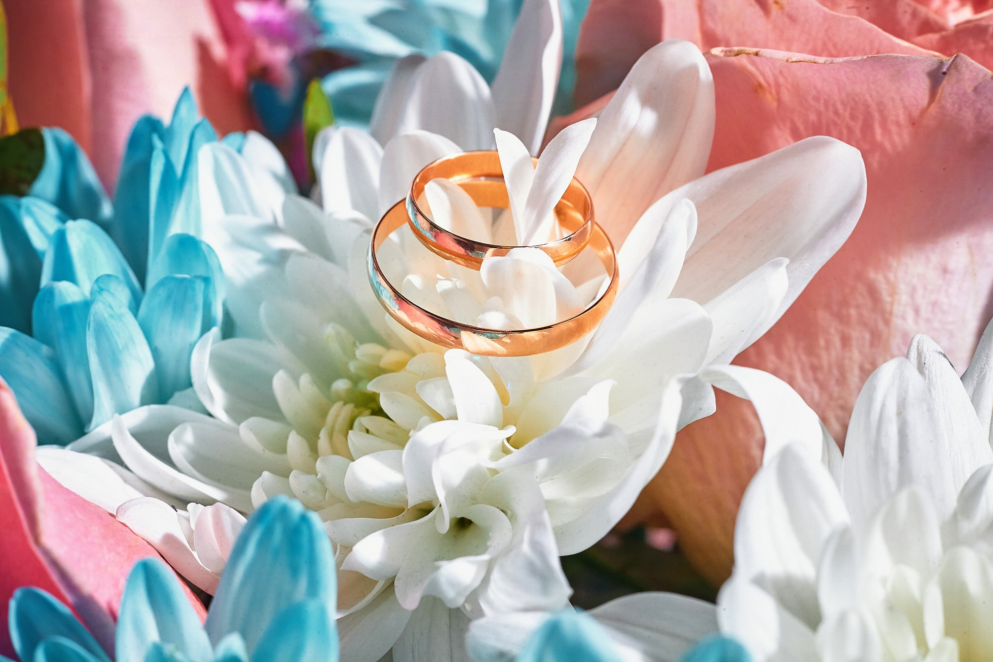 Услуги. Свадебный фотограф Андрей Шмаргунов в Кирове