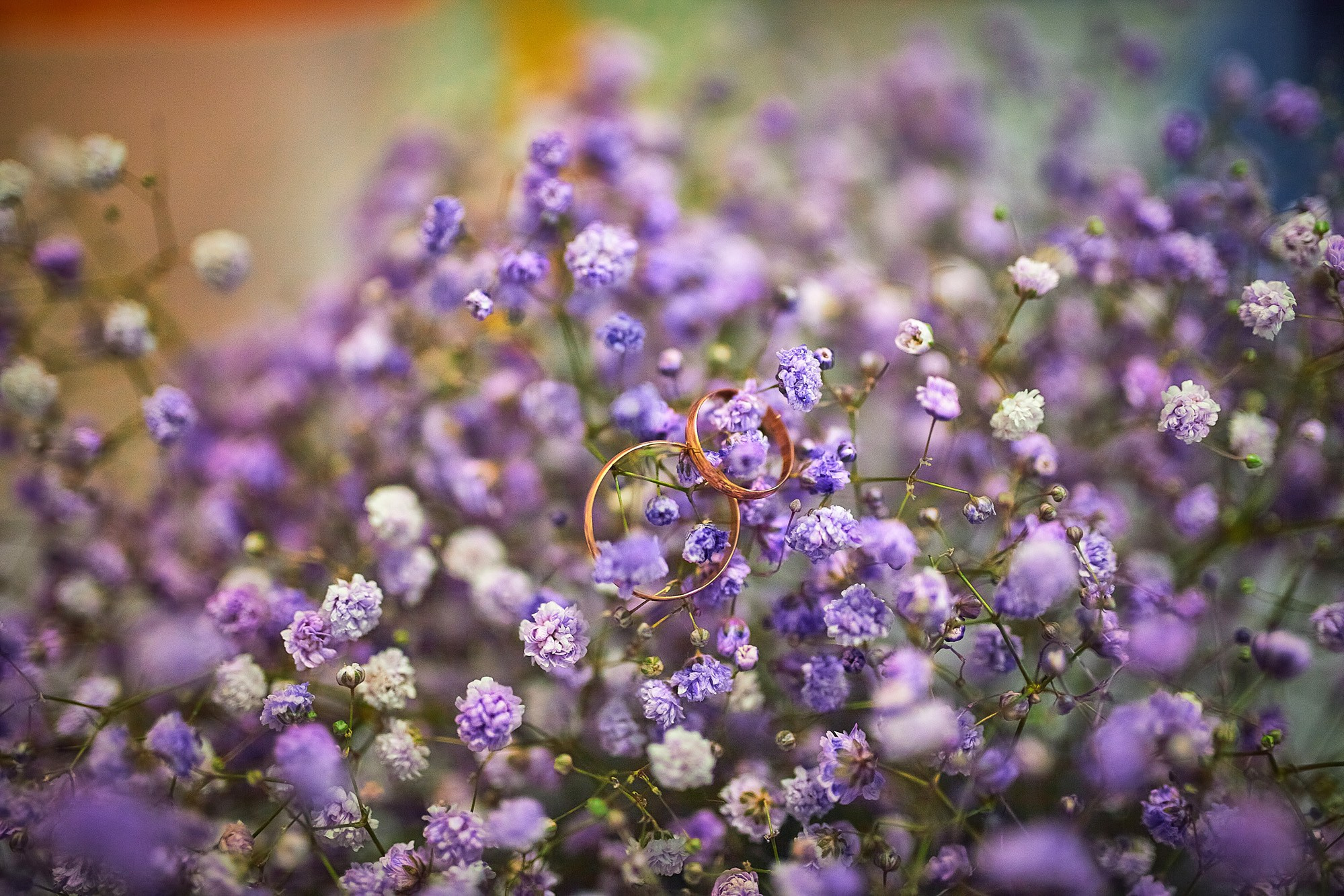 Услуги. Свадебный фотограф Андрей Шмаргунов в Кирове