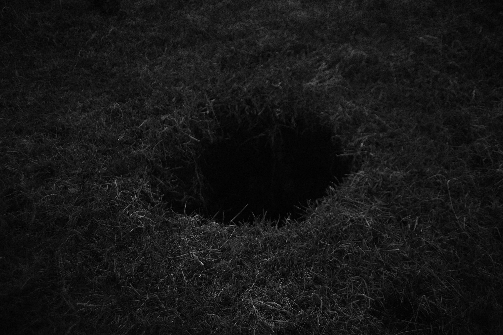 Сибирский путь. Julia Altukhova, multimedia artist