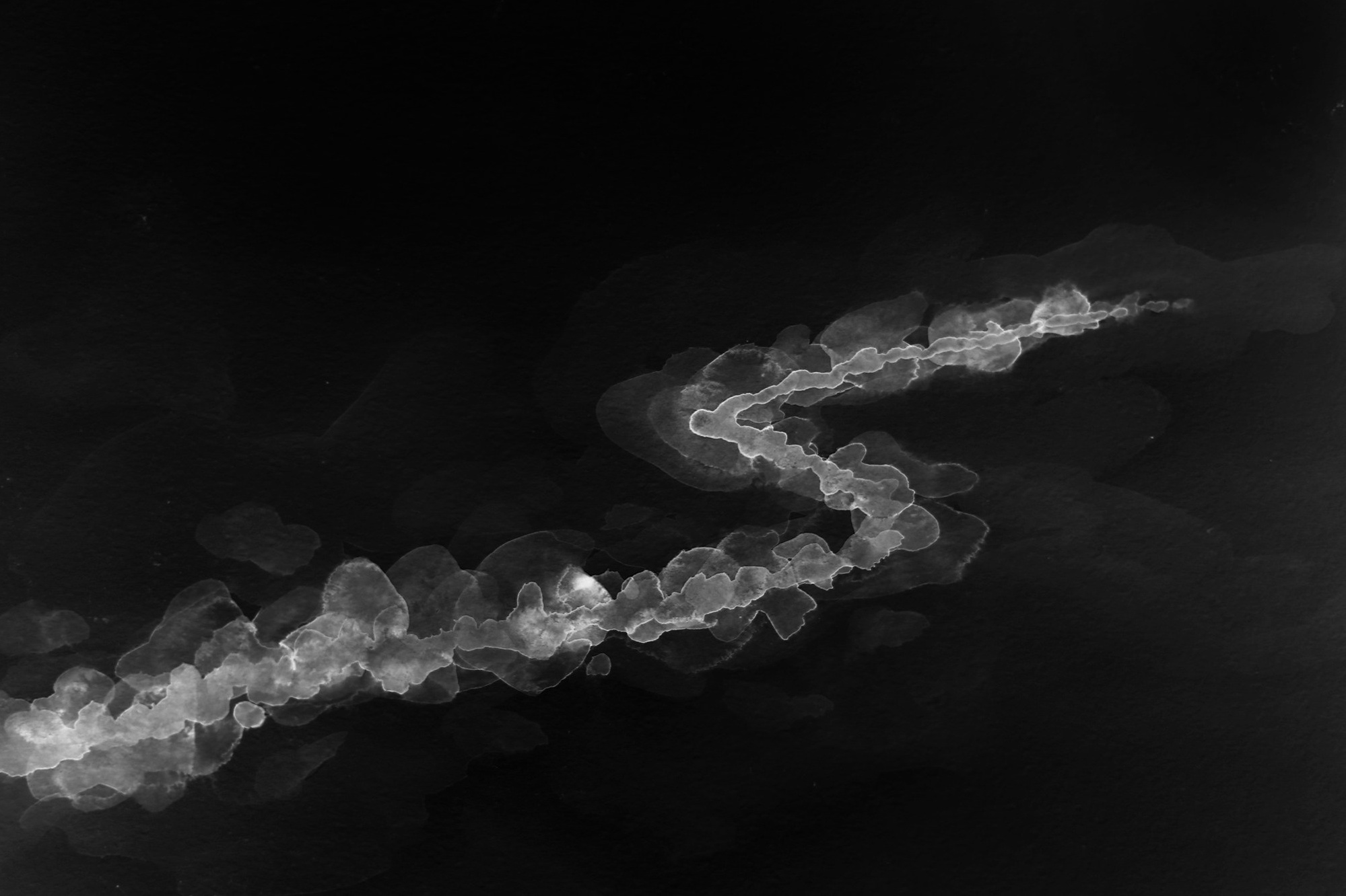 Сибирский путь. Julia Altukhova, multimedia artist