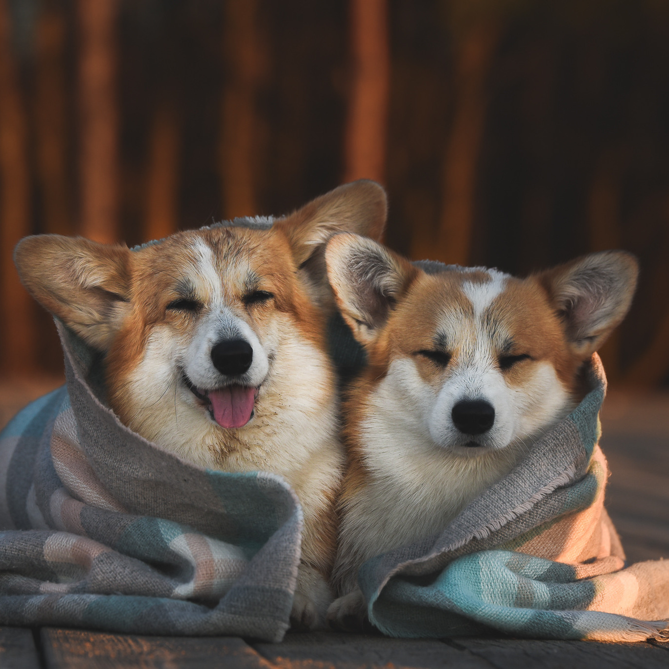 Семейный фотограф в Санкт-Петербурге Ирина Мороз