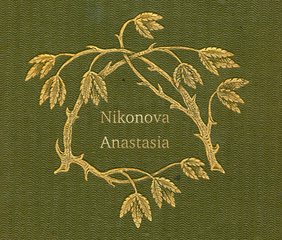nikonovanastya.ru