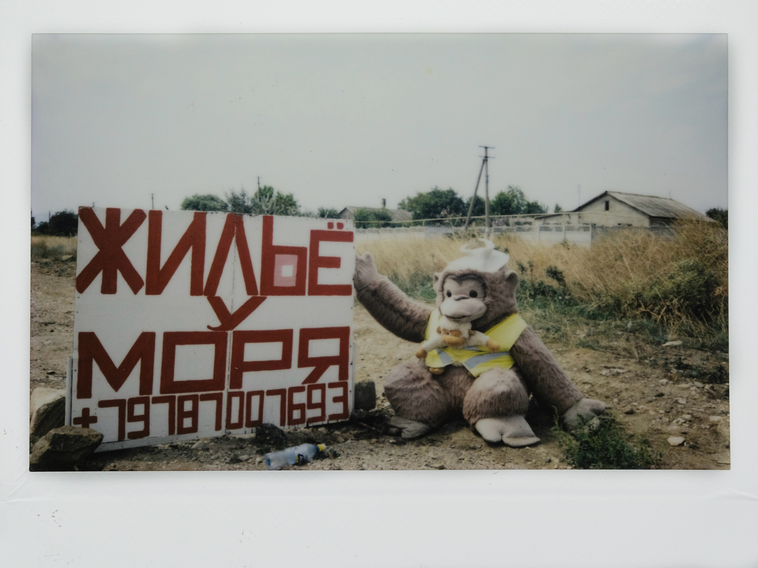 Фотограф Евгений Андреев