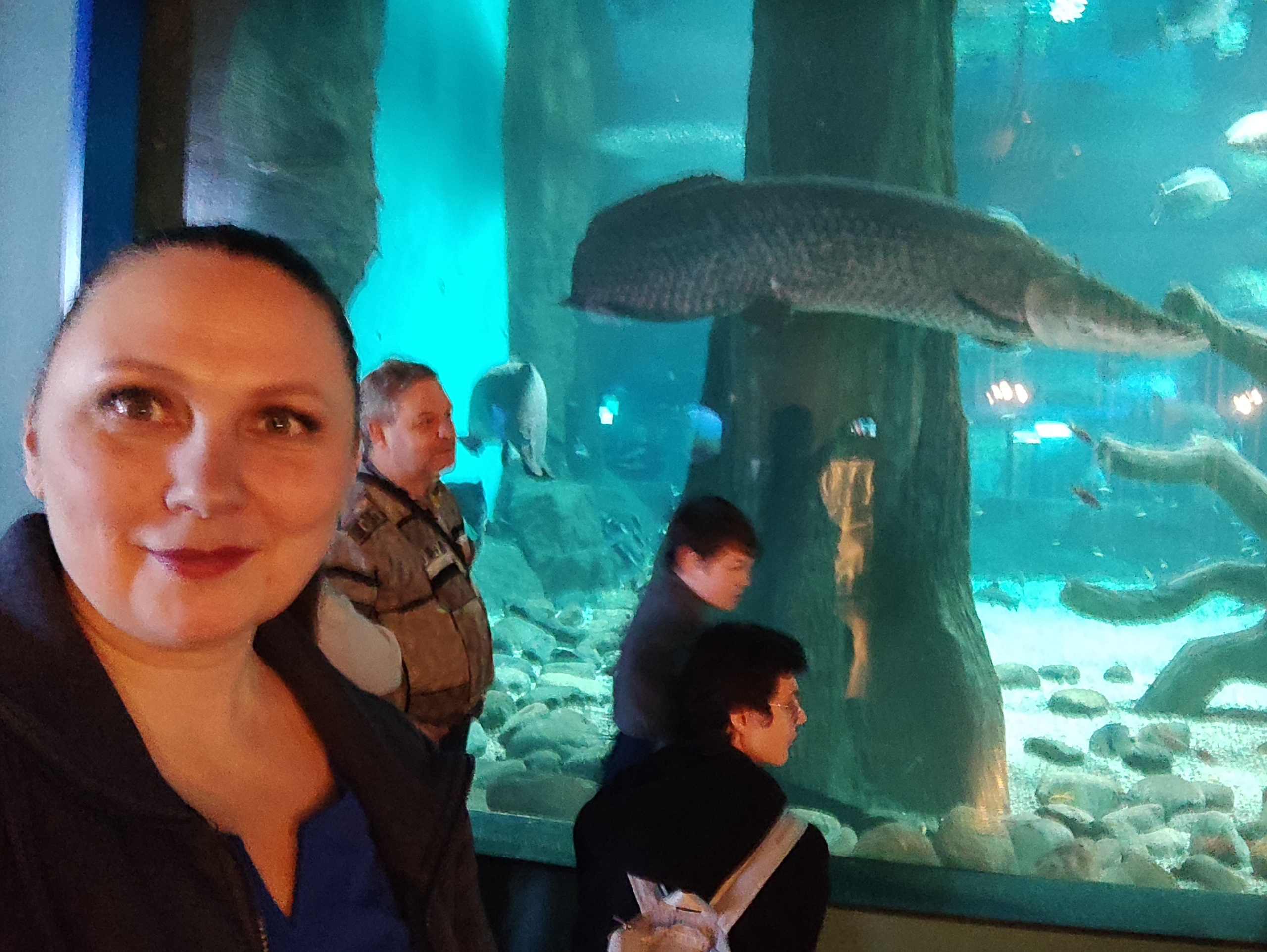 15-16.11.2025 ЕВРАЗИЯ г. Москва. Фотограф анималист Елена Галдина г. Красноярск