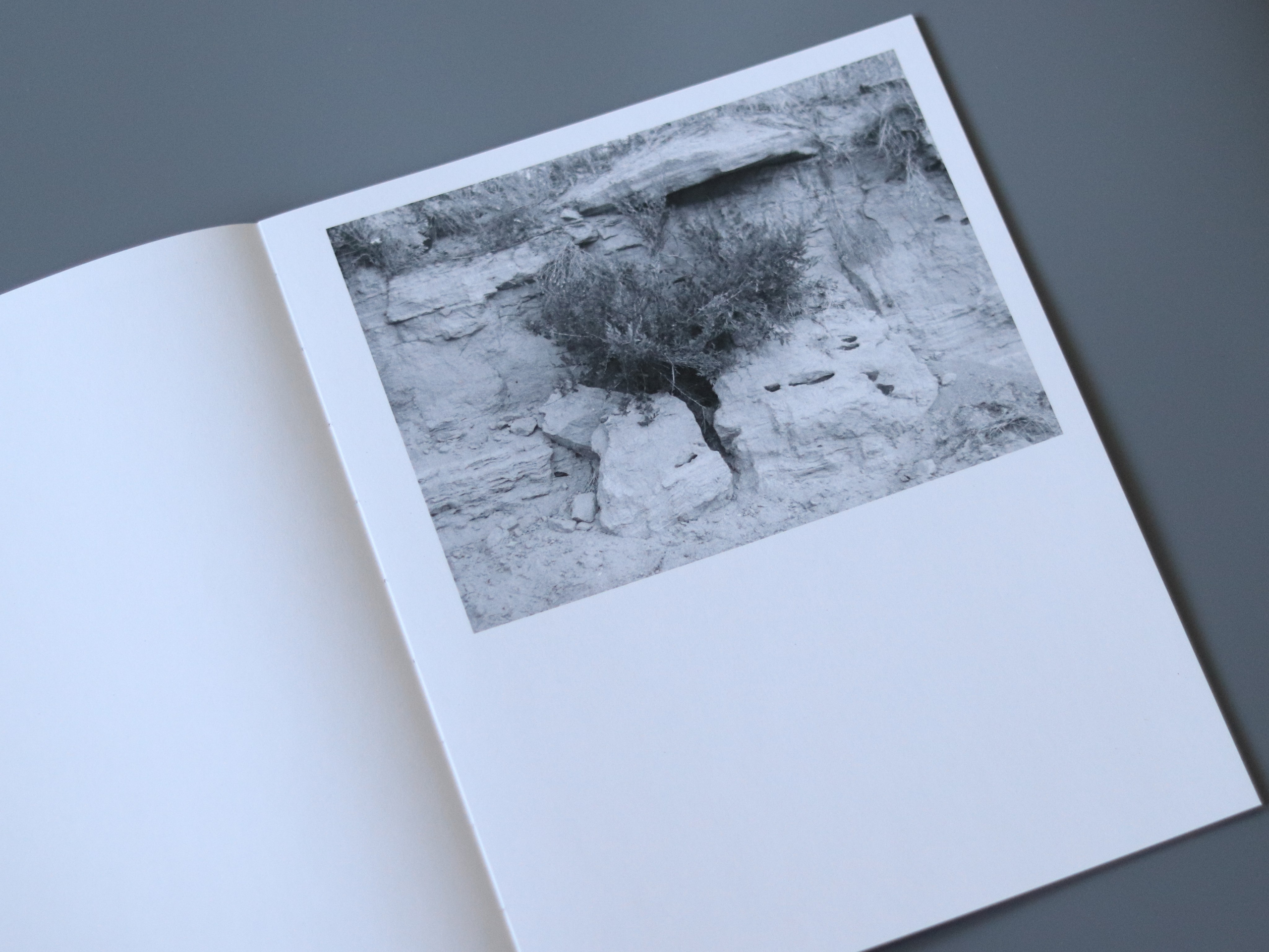 Dry Ridge. Фотограф и исследователь фотографии из Санкт-Петербурга Елизавета Веприцкая
