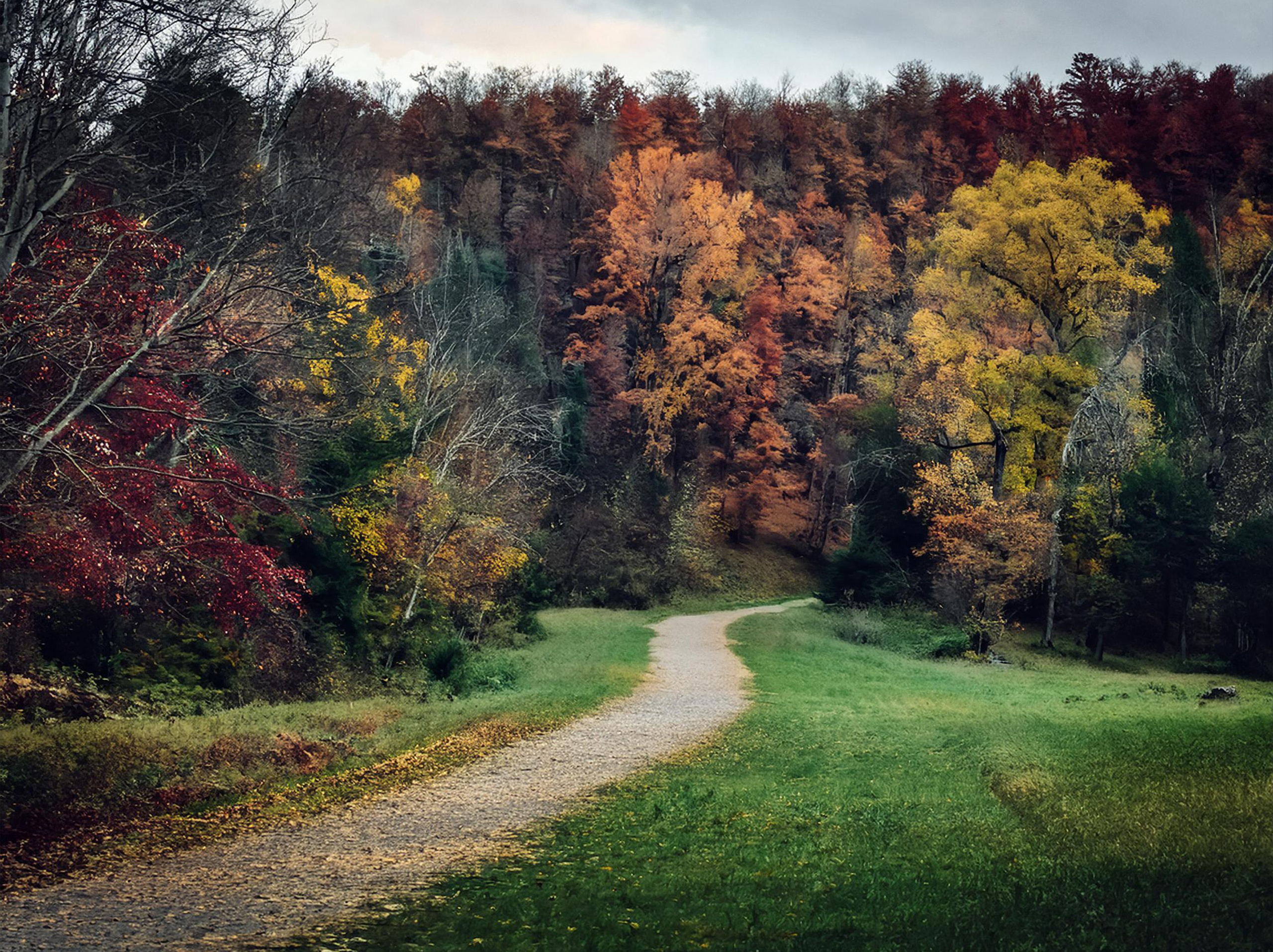 Типы визуальных направляющих в фотографии. Сафронов Иван — портретный фотограф в Москве
