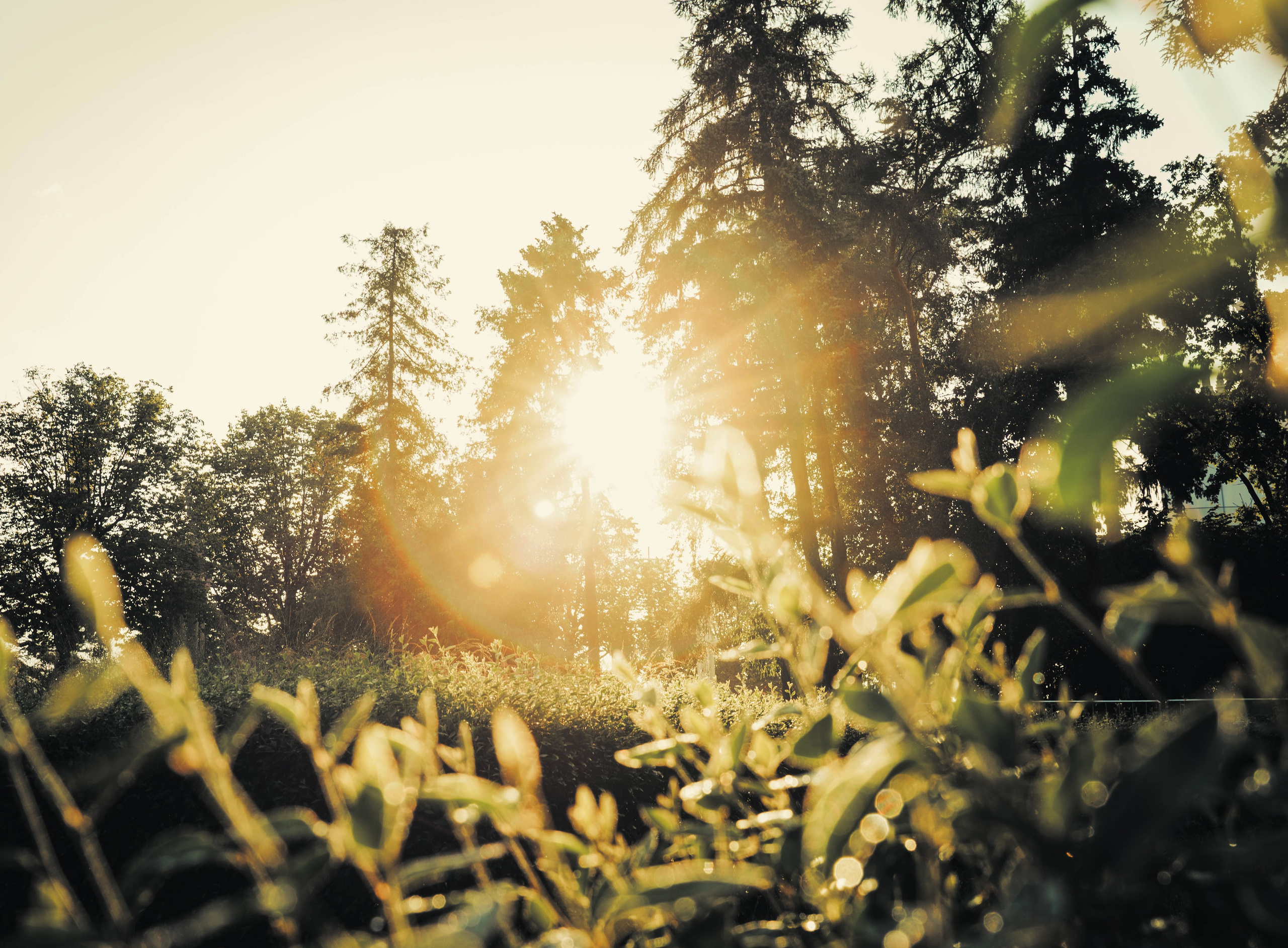 Сагид. Фотограф из Москвы — DASHA NOVA | Авторская фотография в разных жанрах