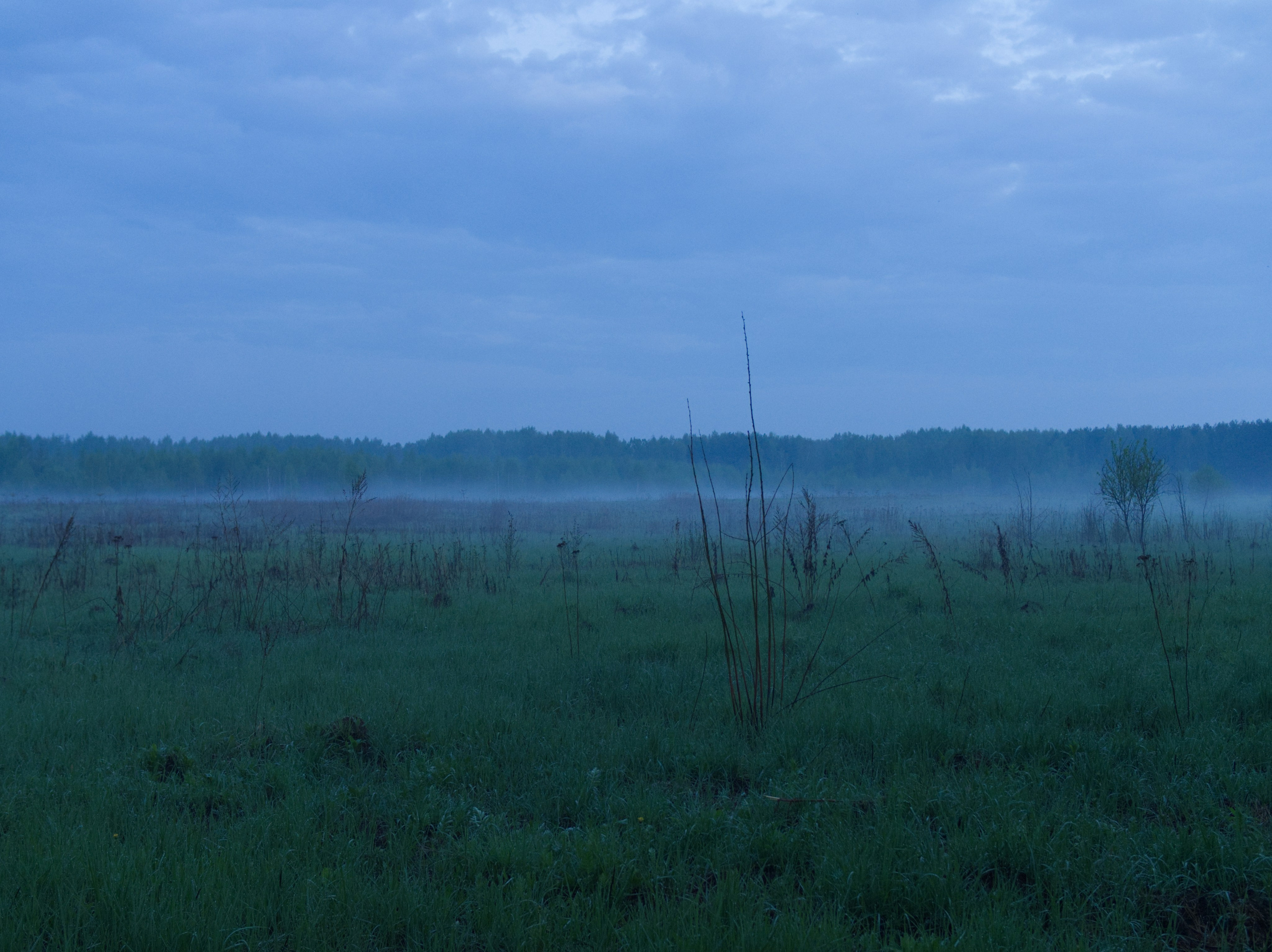 Горетово (2016-2022) — Избранные серии — Документальный фотограф Настя Сергеева
