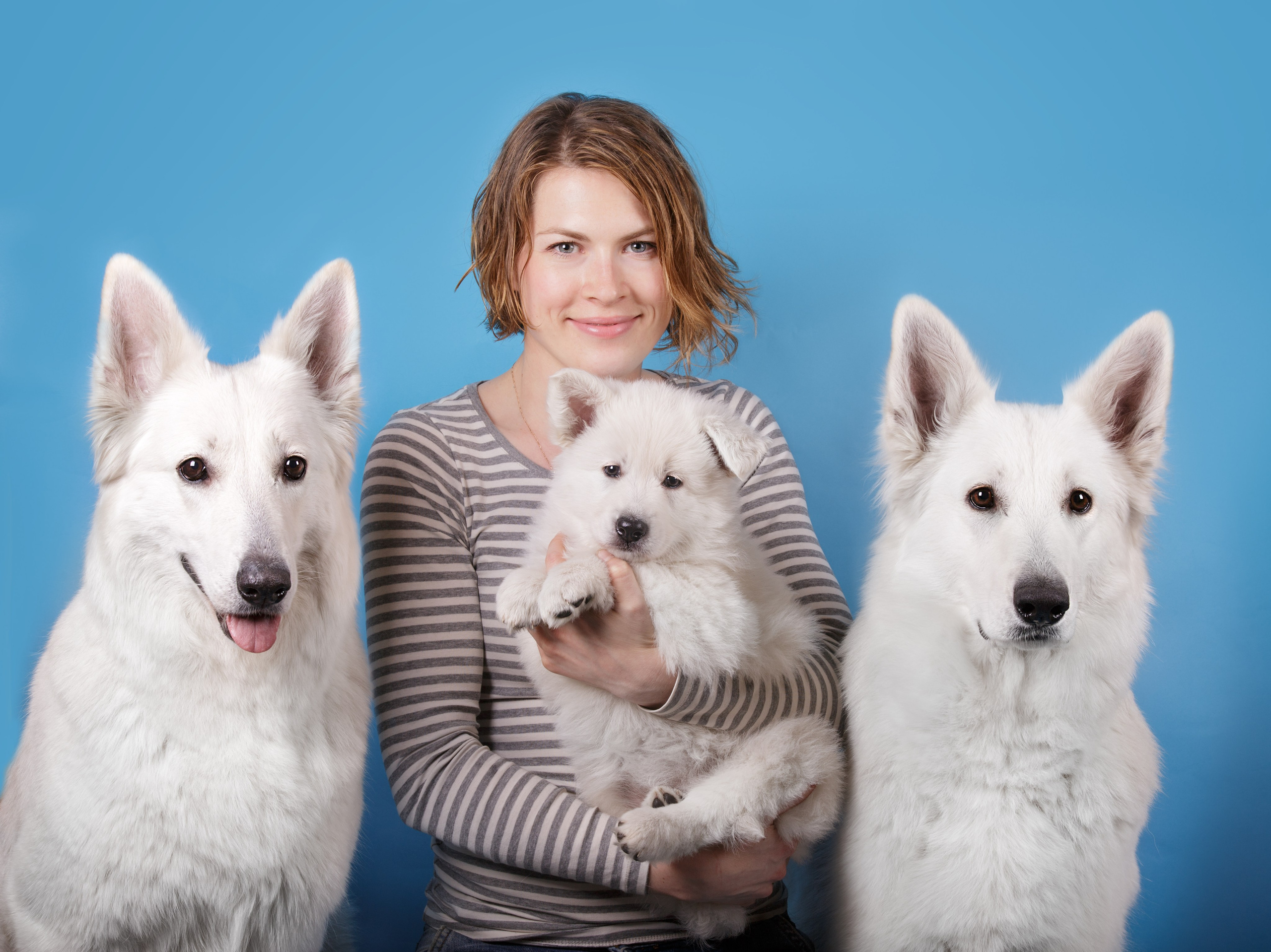 Фоны. Фотограф-анималист Natalia Deingel | Фотосъемка собак в Москве