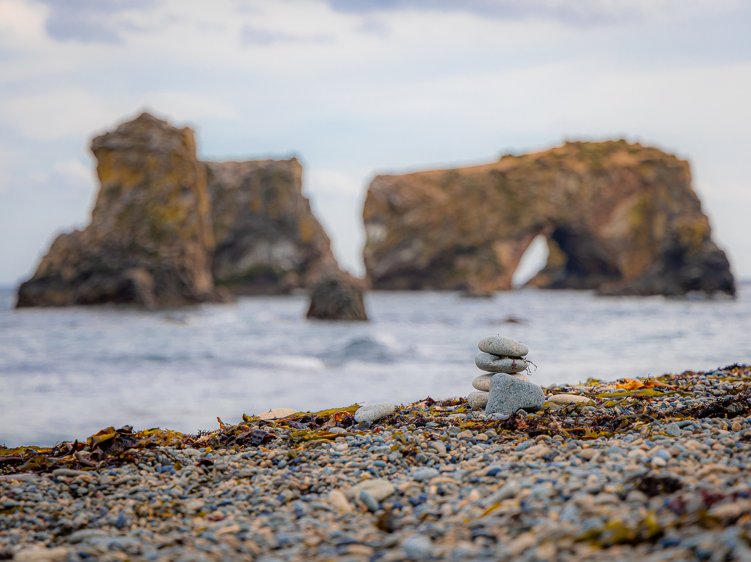 Репортаж. Инга Кузьминская ТОП-фотограф г. Корсаков