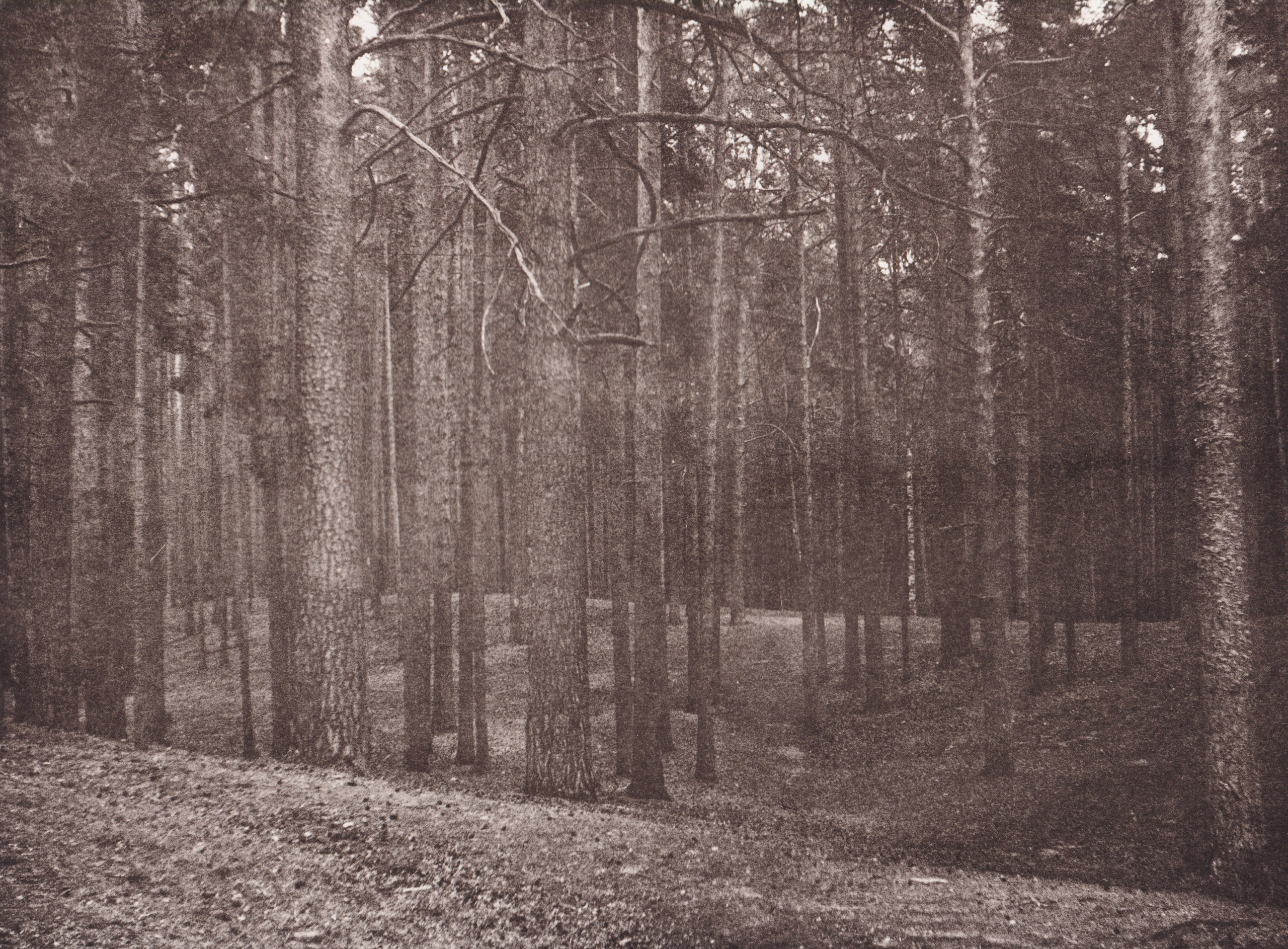 Ручные методы печати. Аналоговые отпечатки. Лит-печать. Татьяна Мищенко — фотохудожник. Междисциплинарный художник, основные медиумы: фотография, графика, коллаж. Портретный фотограф город Дубна