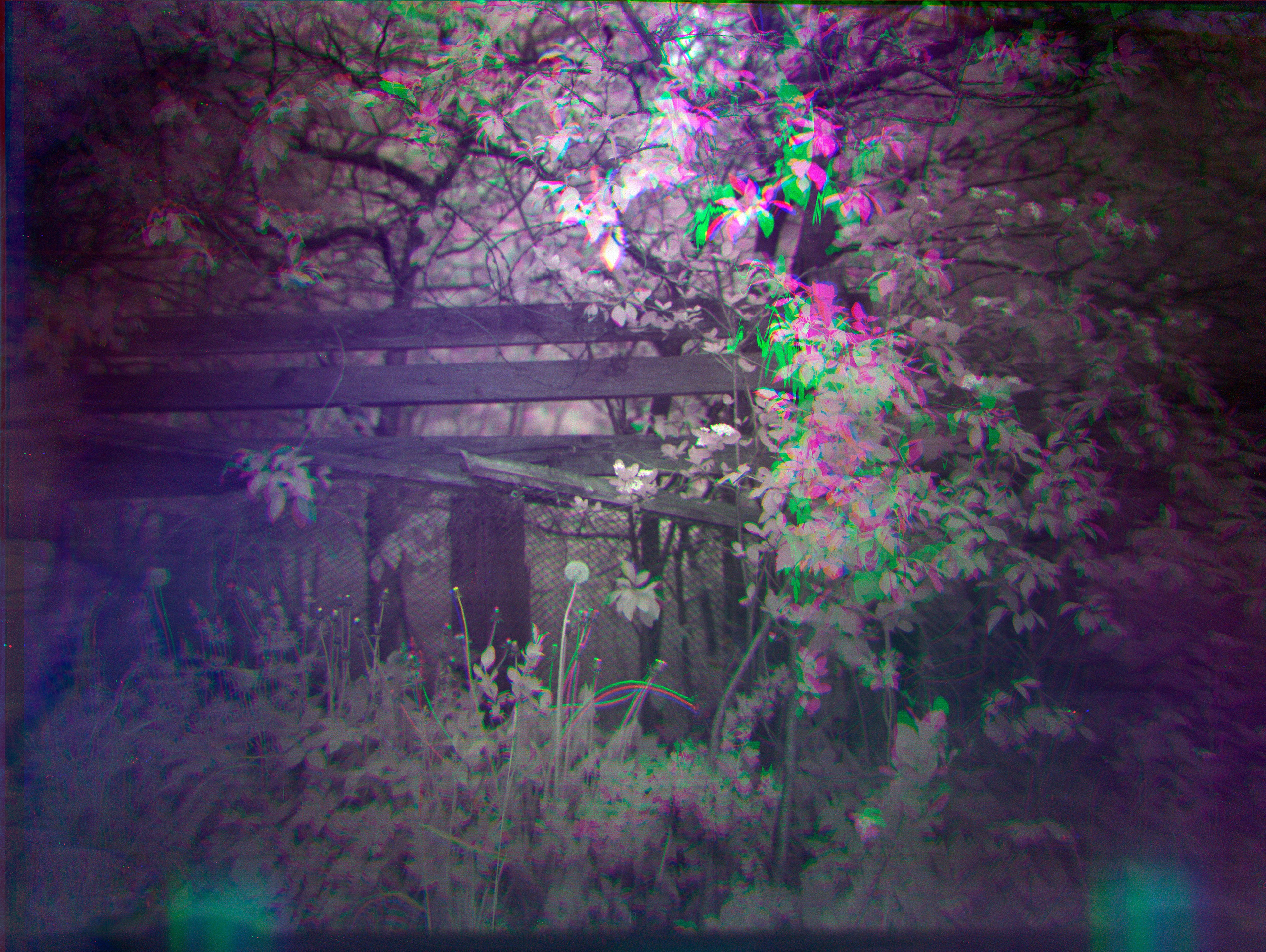 Цветопроба № 001. Roman Hodirev is an esoteriologist, multidisciplinary artist, photographer and musician. Saint Petersburg, Riga