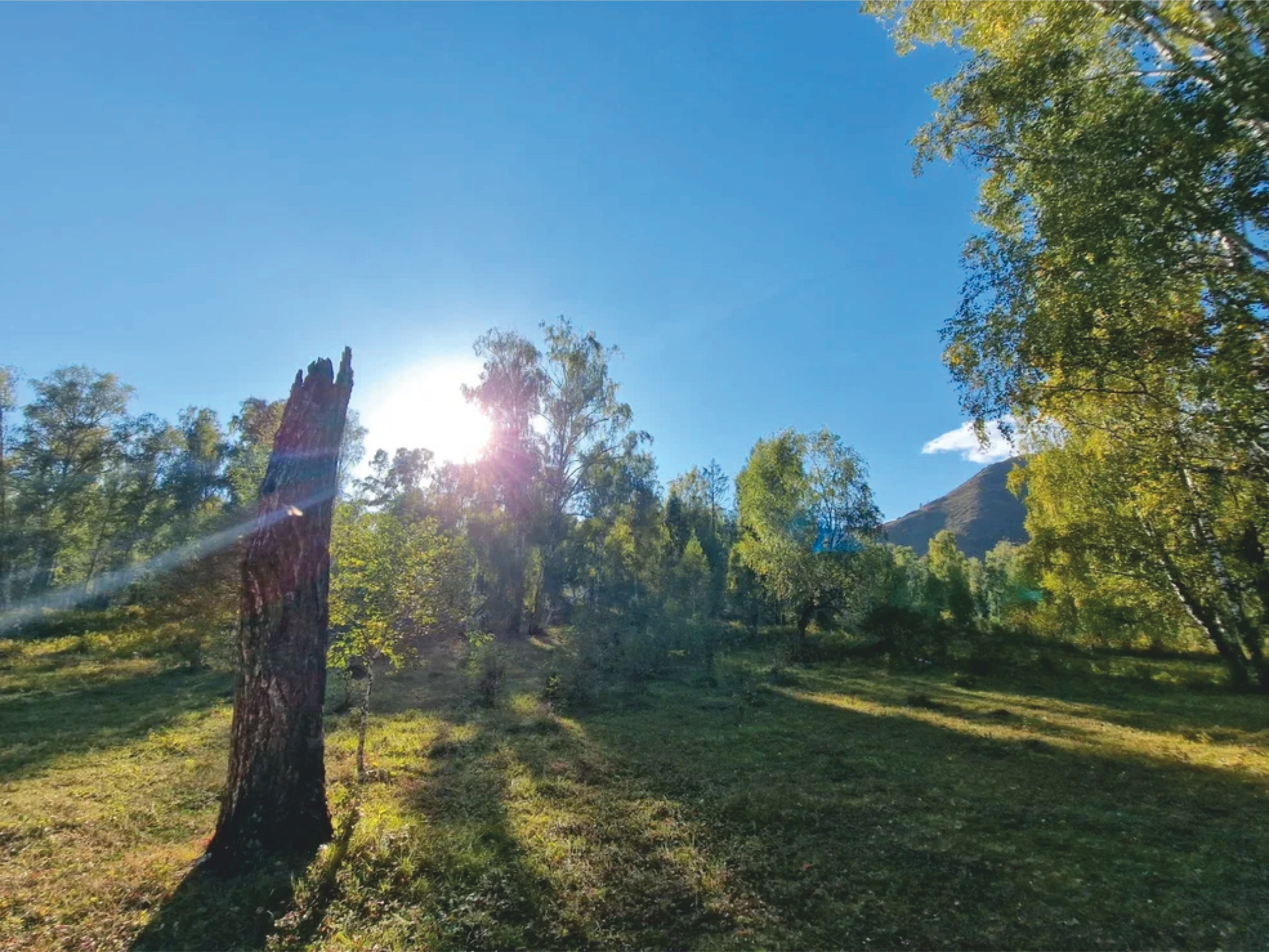 Верх.Уймон. Берег реки Окол. Банк земельных участков Алтая