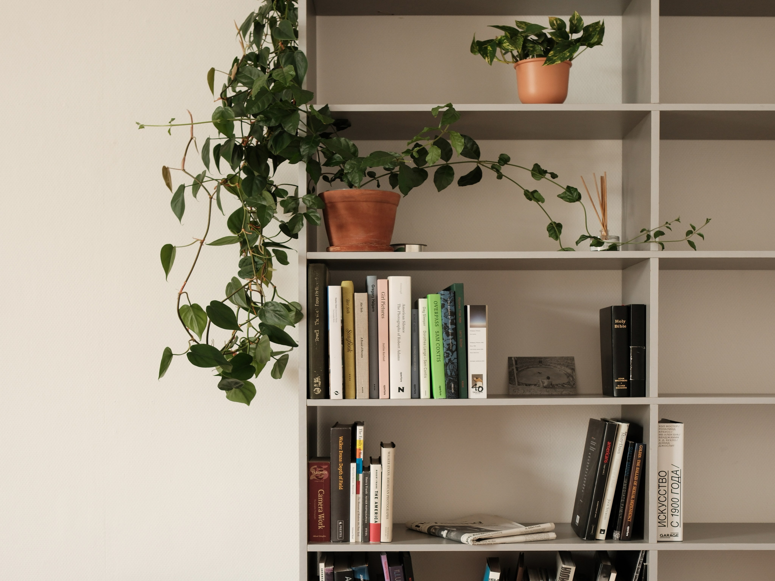 Фотокнижная библиотека Ксении Плотниковой. Фотограф и исследователь фотографии из Санкт-Петербурга Елизавета Веприцкая