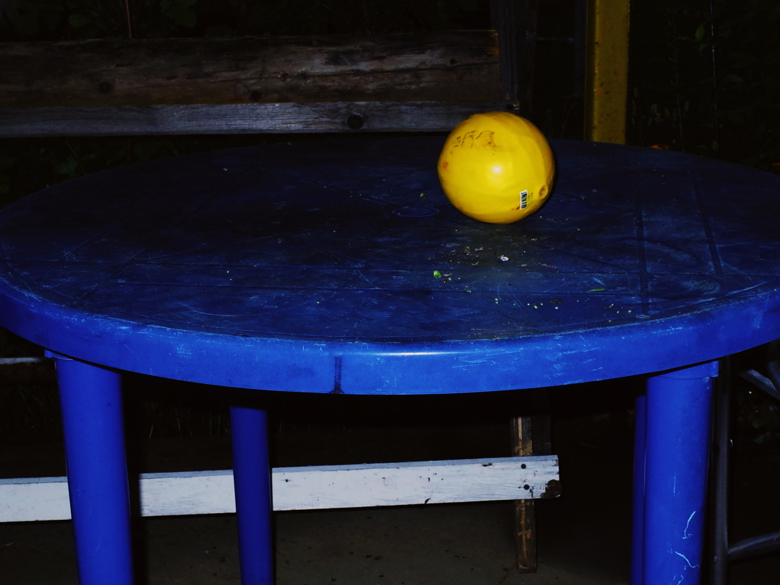 Maria Vdovina | фотограф и художник