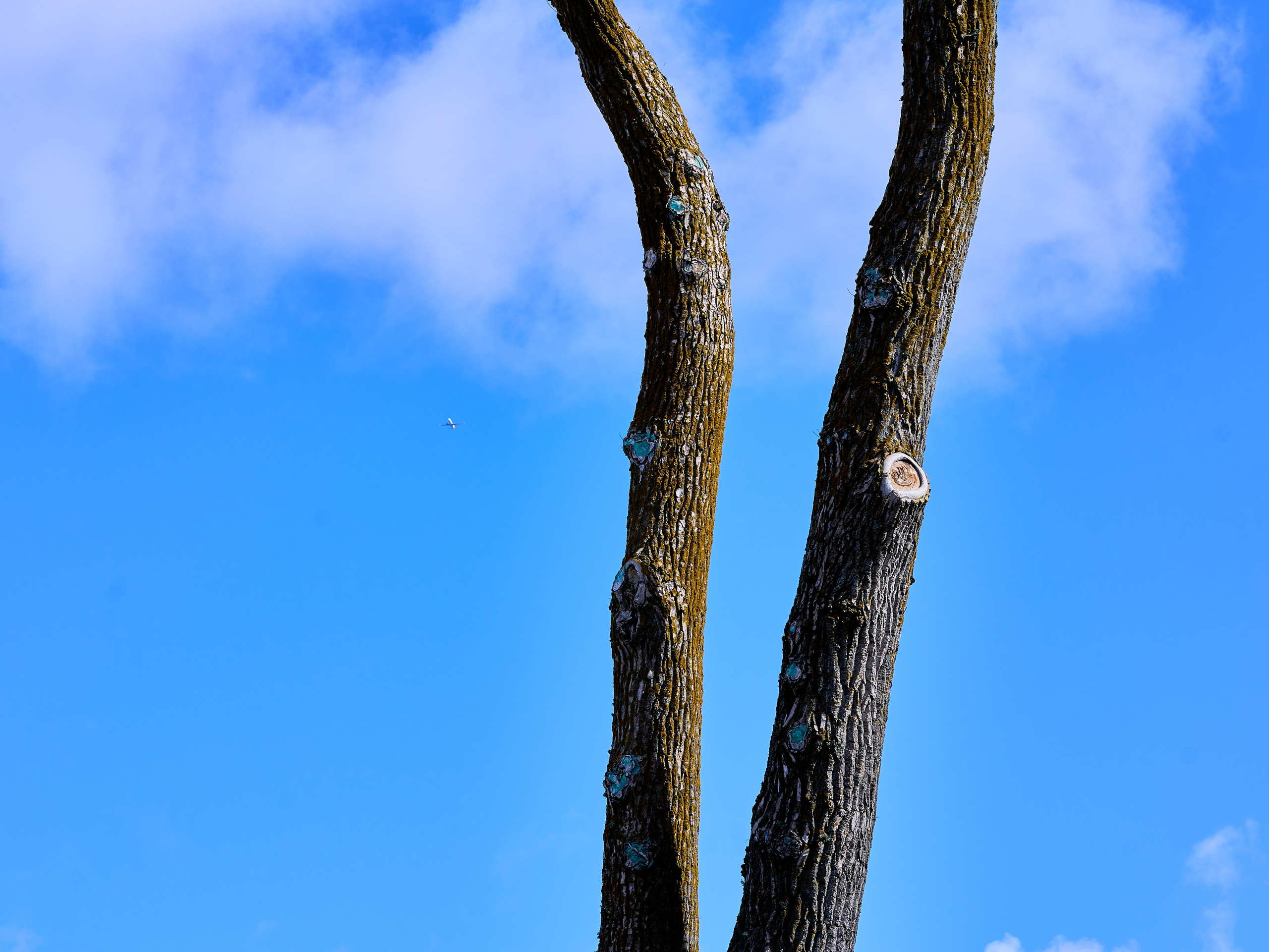 Зеленоградск. Фотограф в Москве Анастасия Баева
