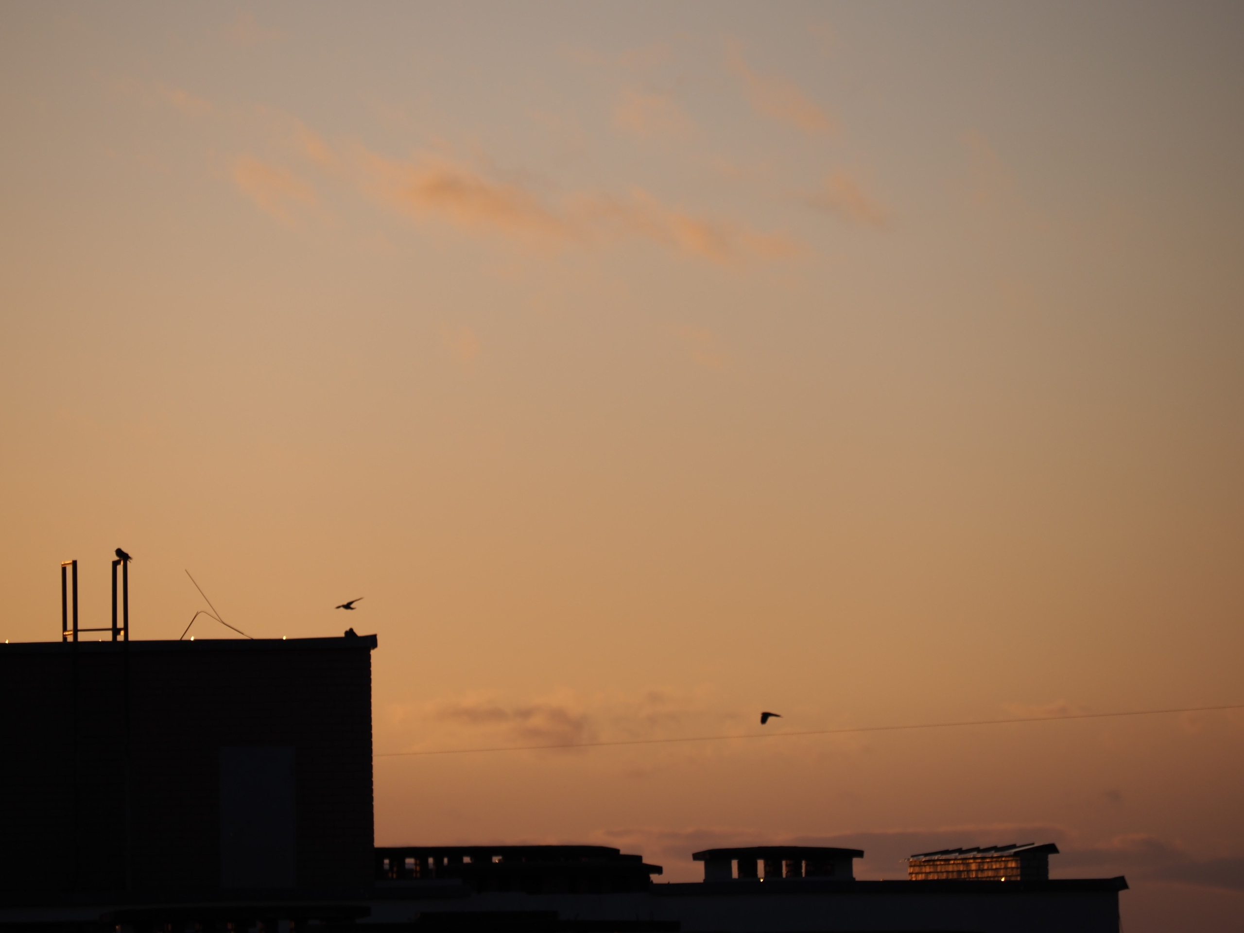 В ритме города. FOTOFAQ SKOOL г. Санкт-Петербург: очные, дистанционные и онлайн курсы фотографии