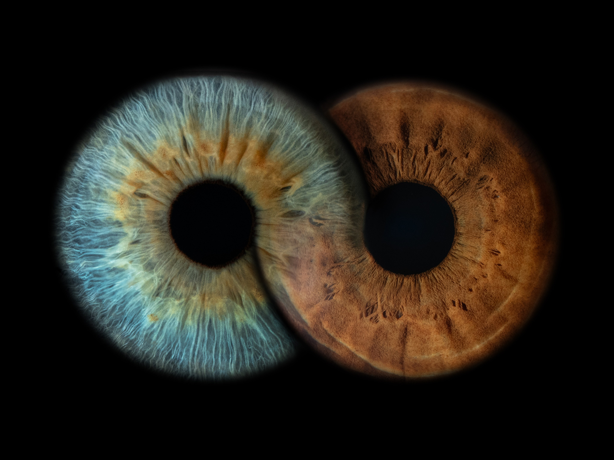 ДВе радужки глаза, переплетенные в форме символа бесконечности. Художественное слияние узоров создает гипнотический эффект вечного движения. Премиальная цифровая обработка подчеркнет плавные переходы и глубину.  