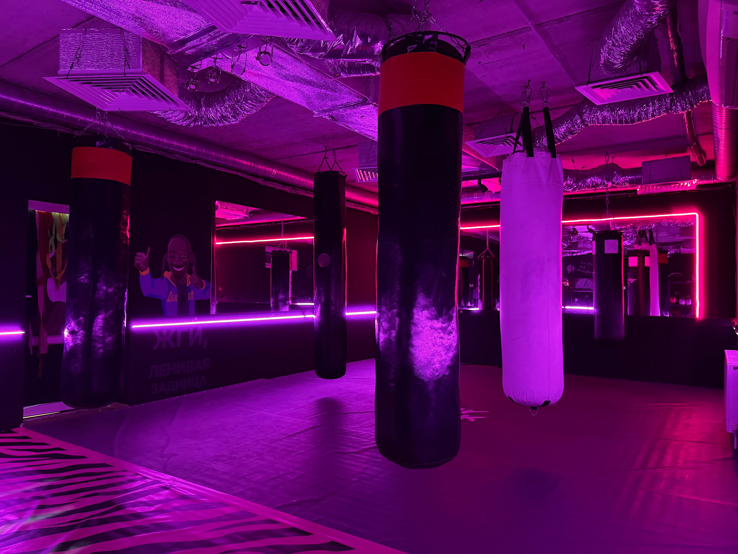 ЮМР. Тренировки по боксу для девушек и женщин — Gray Shark Studio