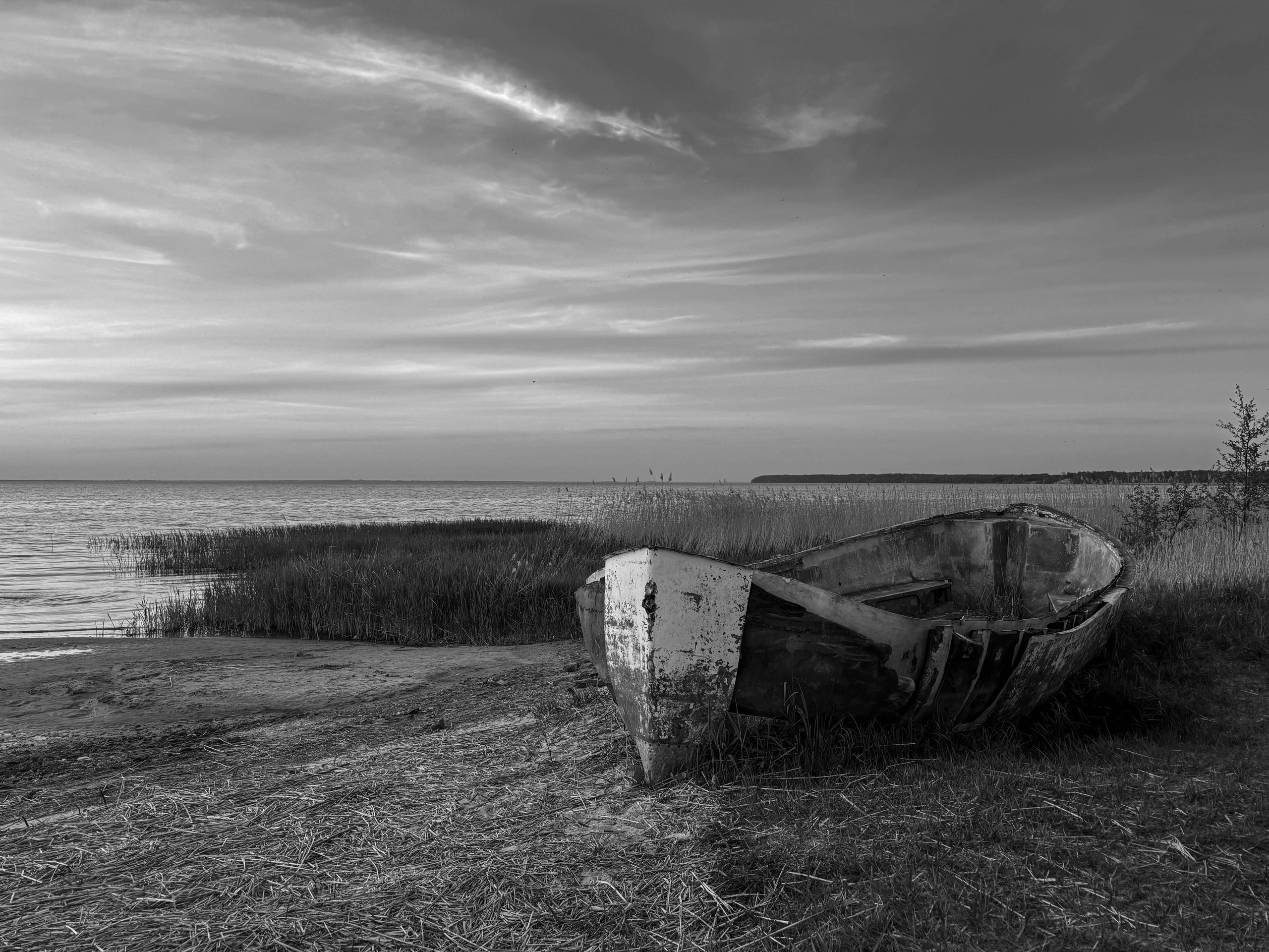 Брандт Олеся. Организация фотовыставок в Петербурге и Москве, MFamilia (МФамилия)