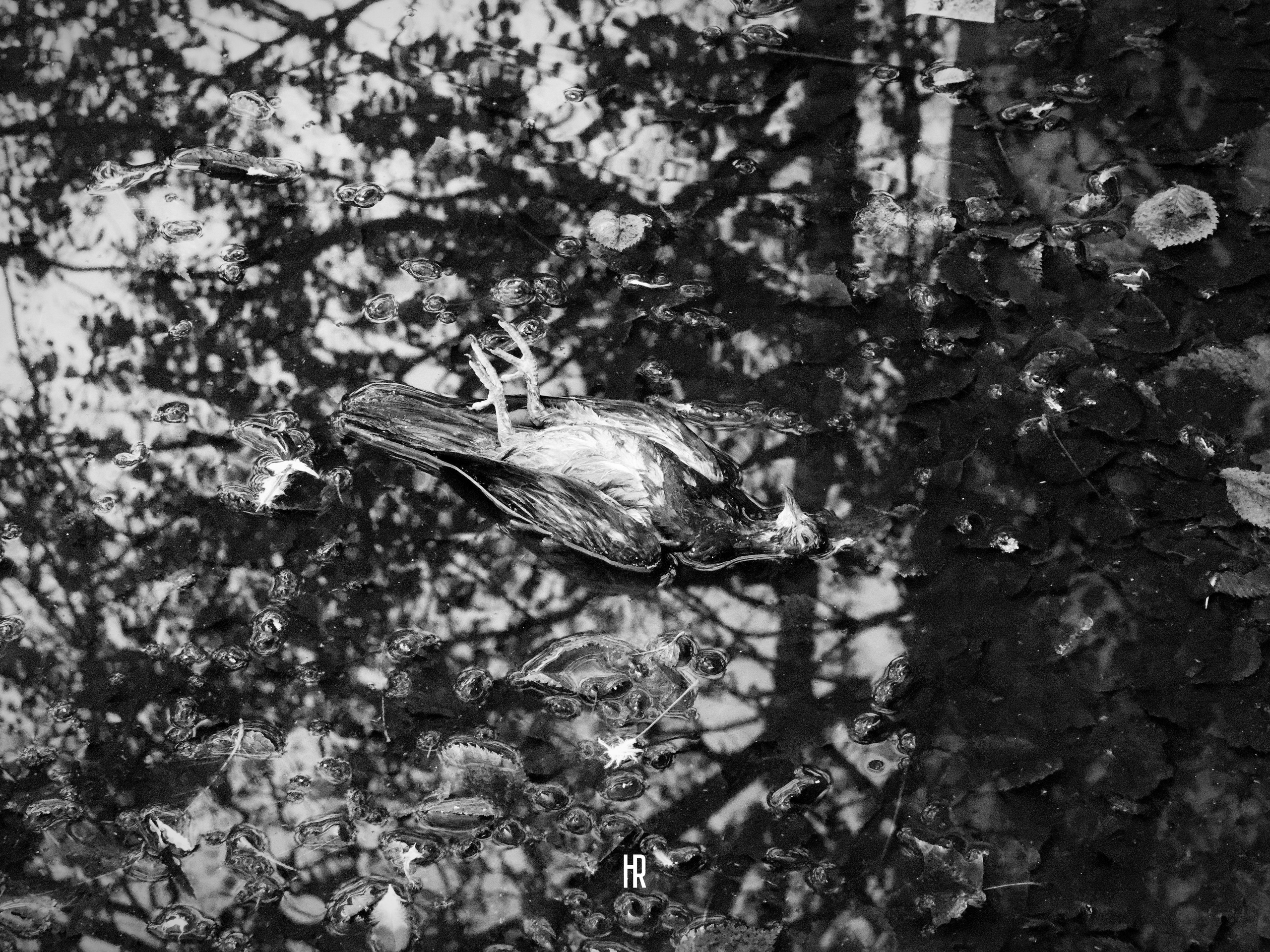 Дрейф в Пространстве «МЕЖДУ». Роман Ходырев — эзотериолог, художник, фотограф и музыкант. Санкт-Петербург, Рига