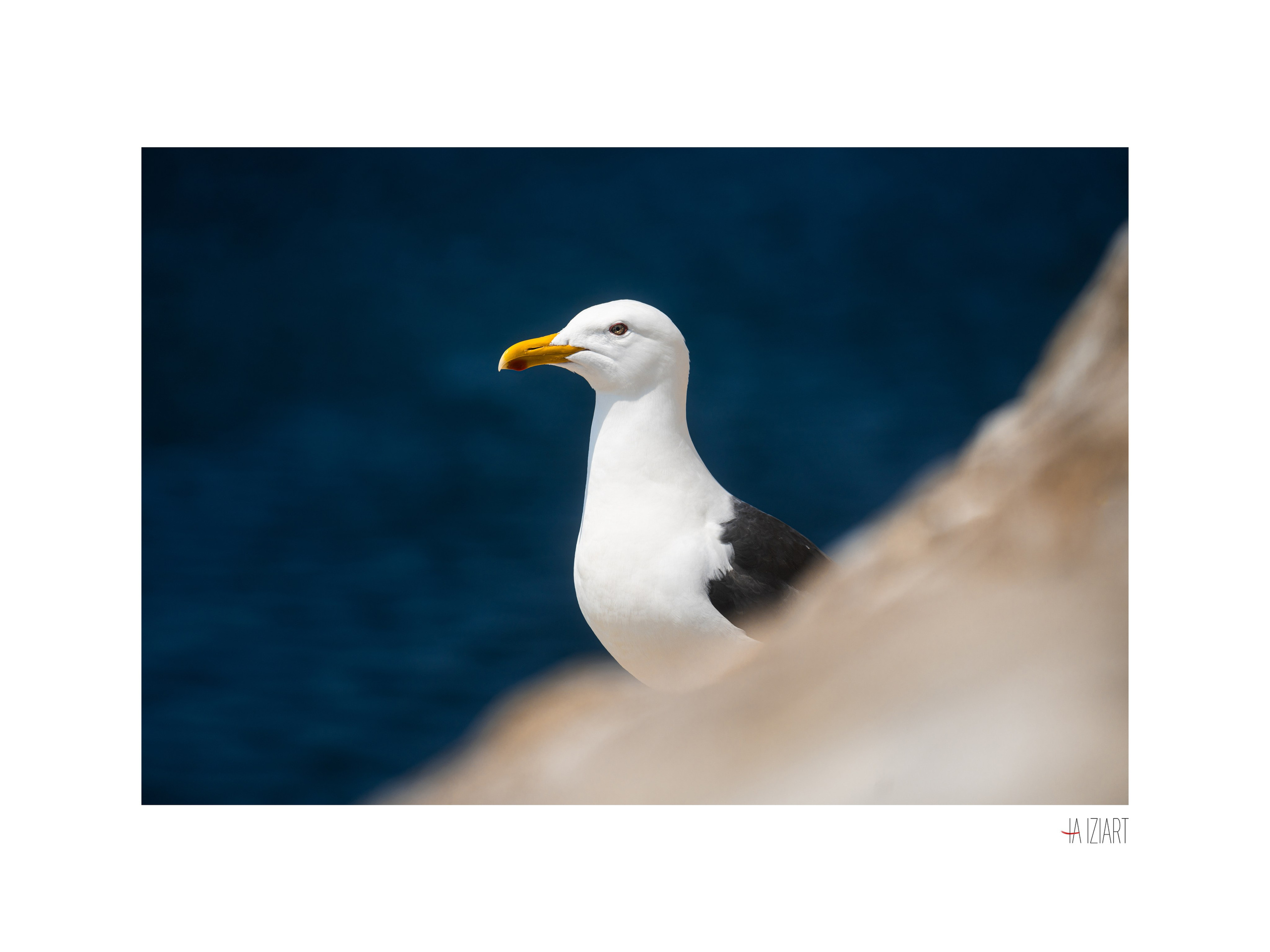 Магазин. Ivan Zaitsev (IZIART) — creating a cultural code through photo and video