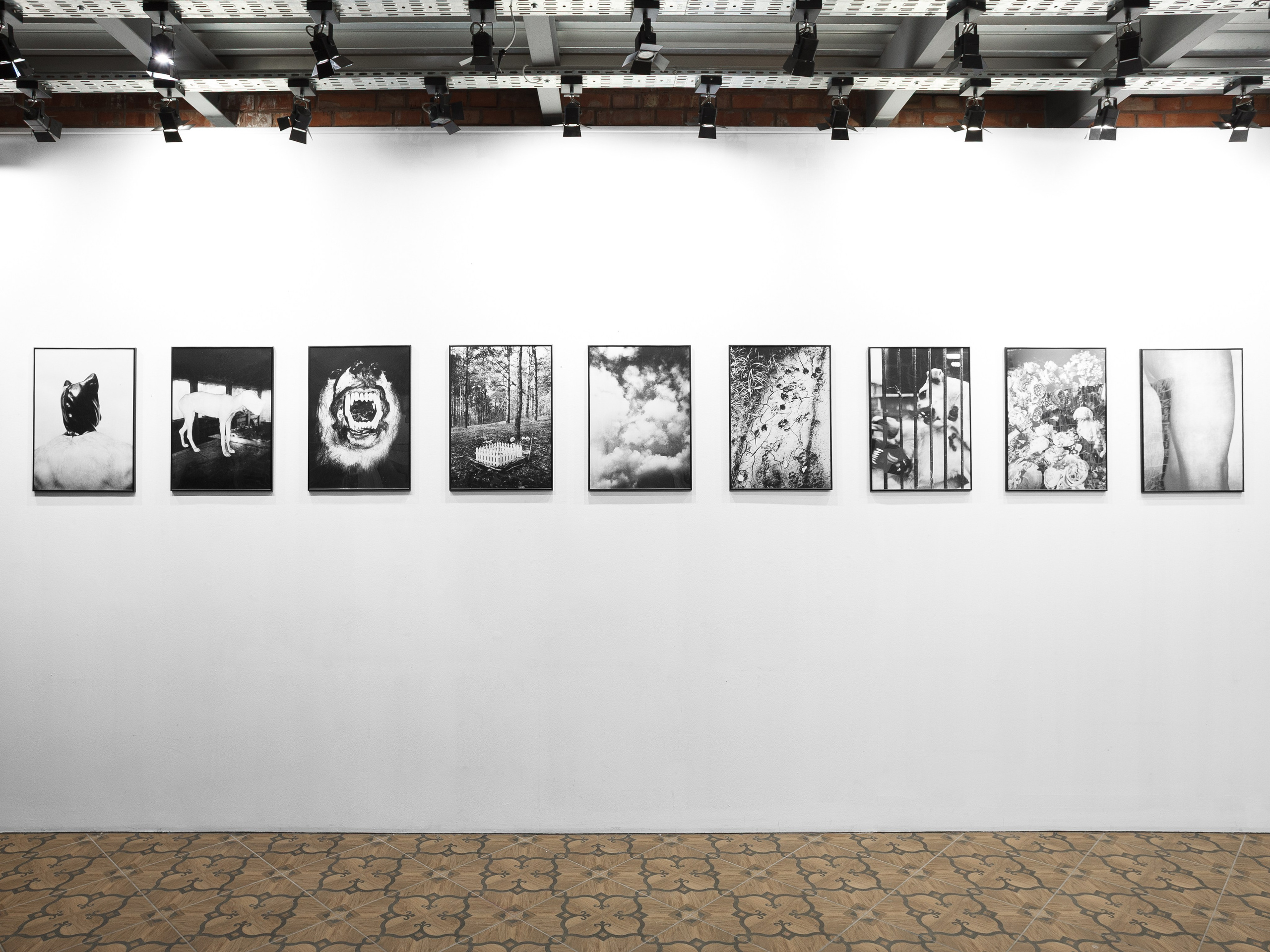 ВСЕ ПСЫ ПОПАДАЮТ В РАЙ. Дима Птицын