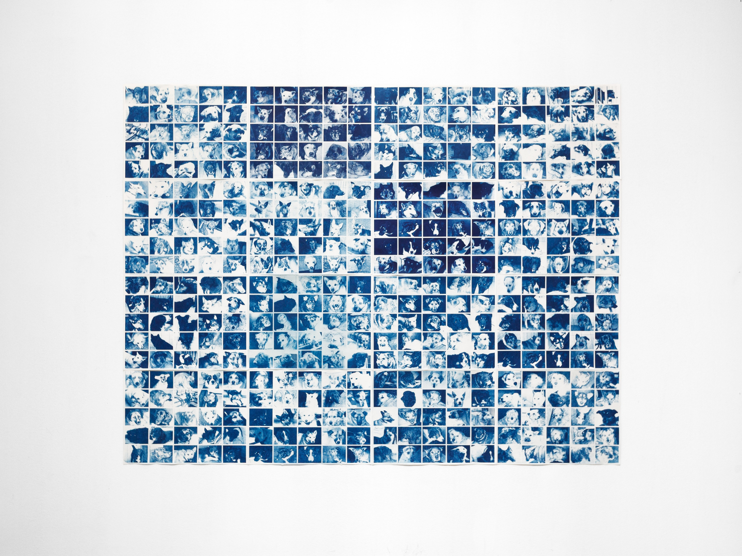 ВСЕ ПСЫ ПОПАДАЮТ В РАЙ. Дима Птицын