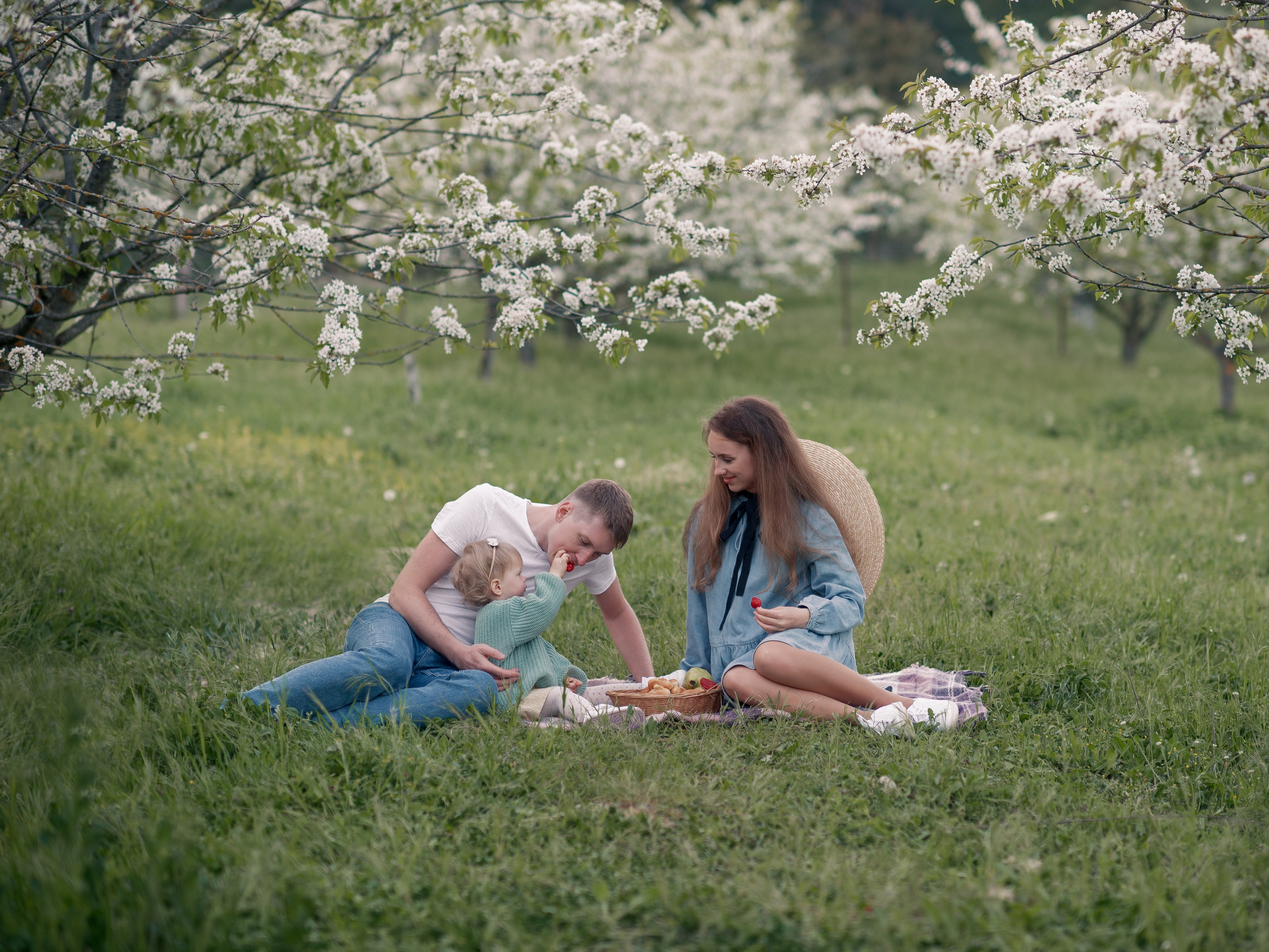 Что цветет в Крыму зимой, весной, летом и осенью. Семейный фотограф в Севастополе и Крыму Александра Погребняк