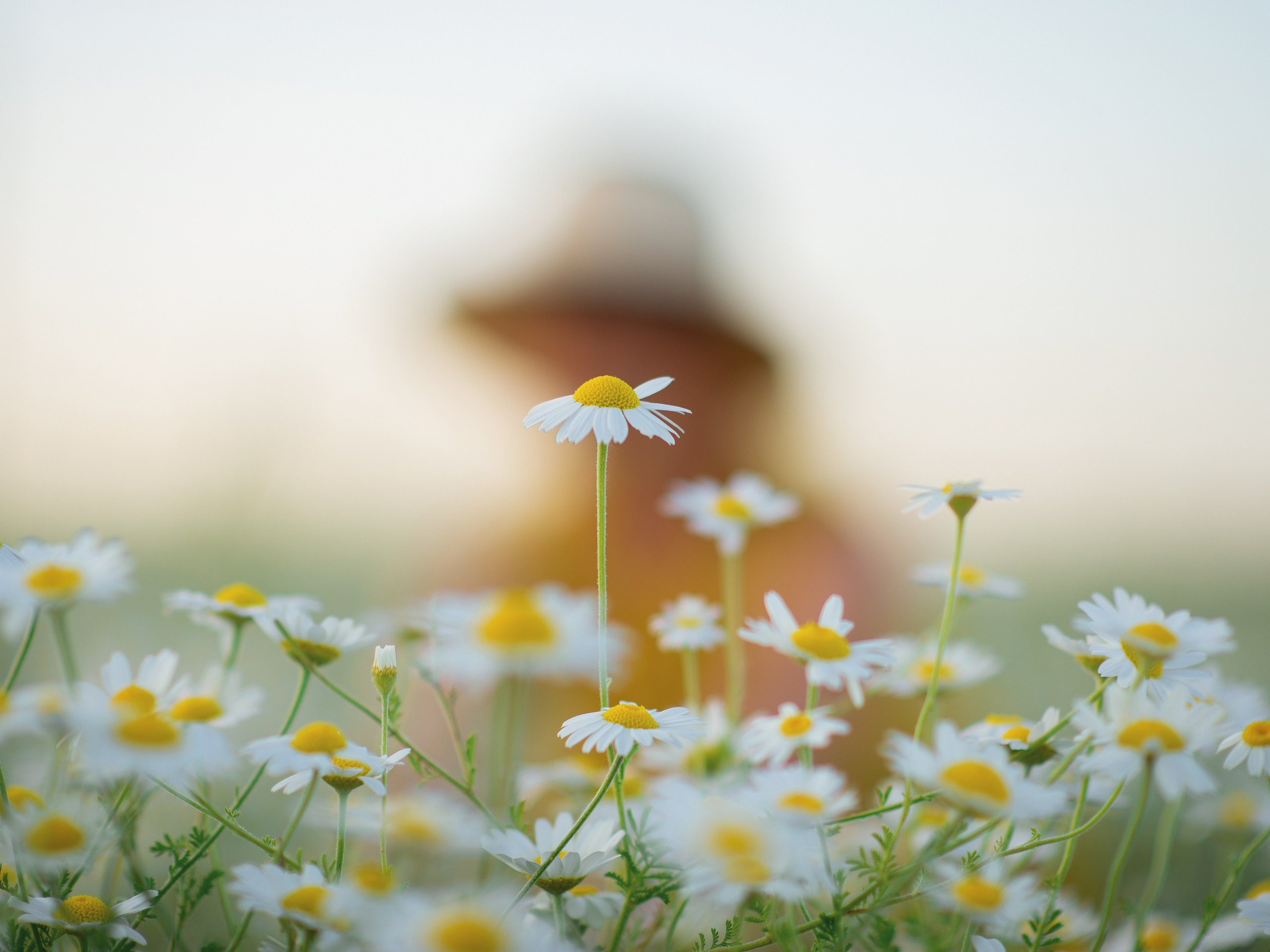 Что цветет в Крыму зимой, весной, летом и осенью. Семейный фотограф в Севастополе и Крыму Александра Погребняк