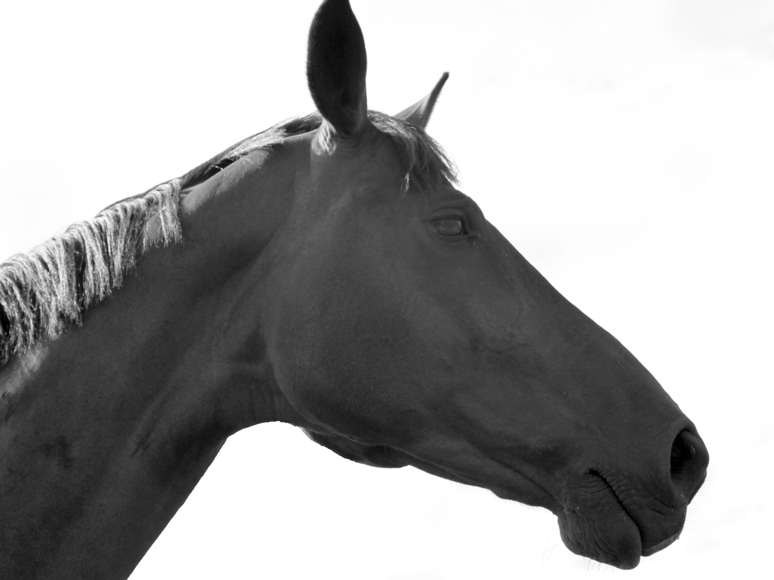 Услуги. Главная