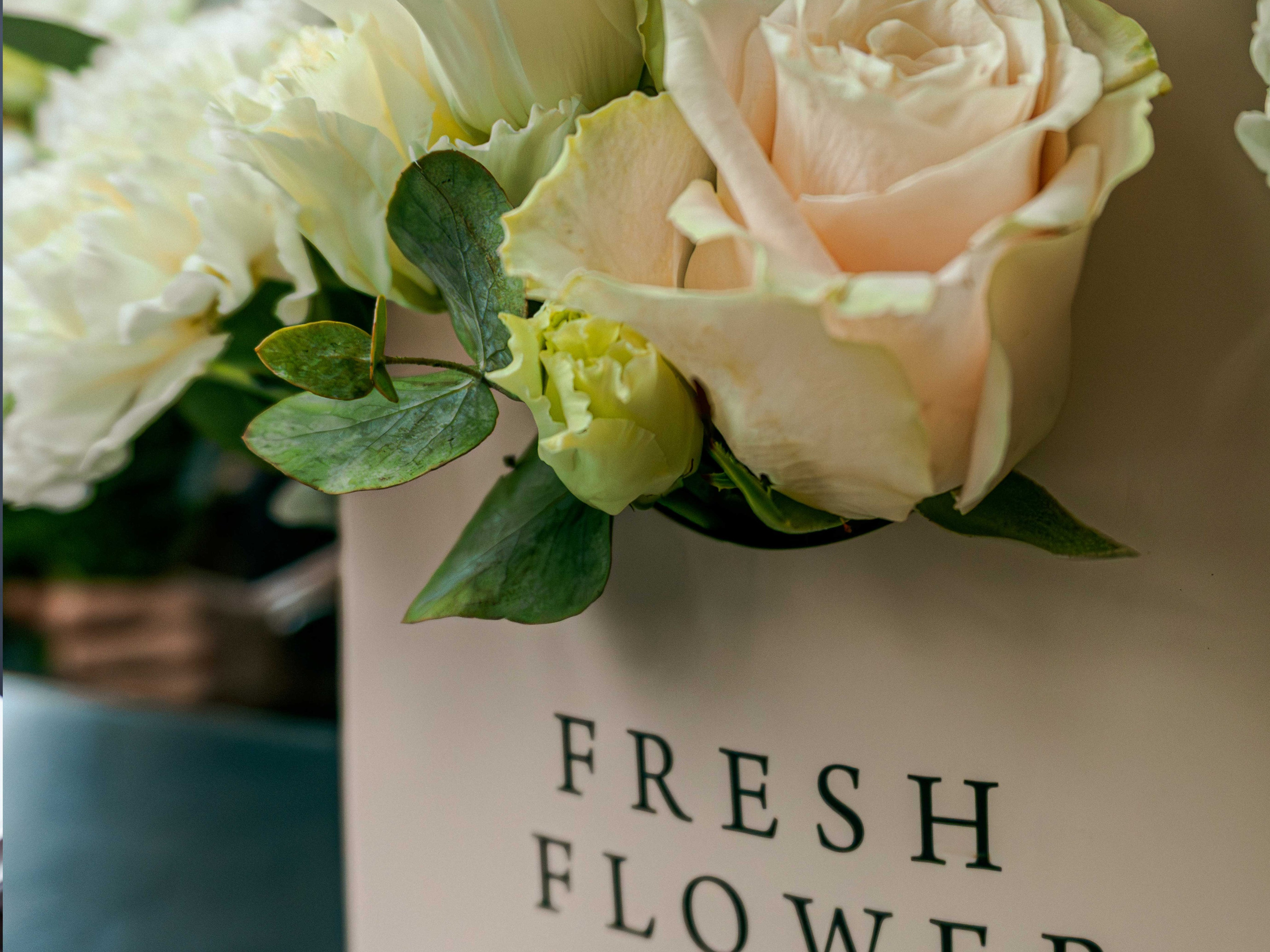 Услуги. JOHNNY SOLOVEV VISION