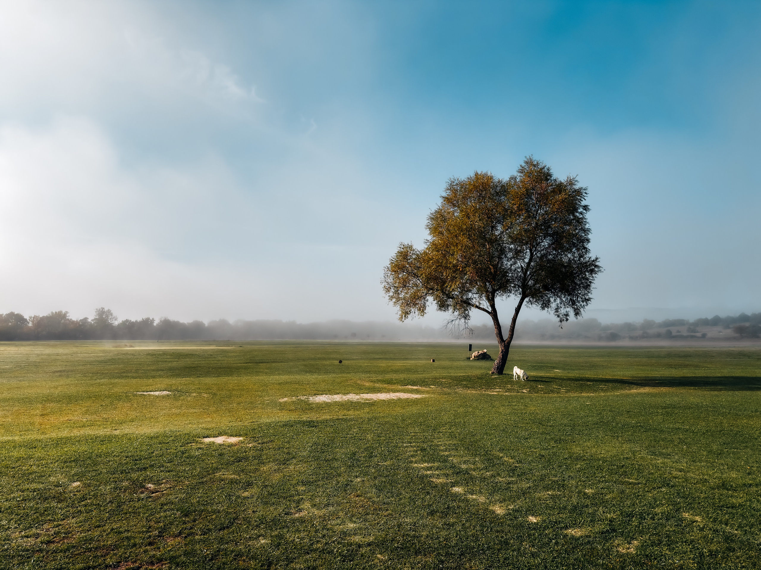 Работы учеников. ФОТОШКОЛА VISION — курс по мобильной фотографии в Москве, курс по фотографии Владимира Васильева