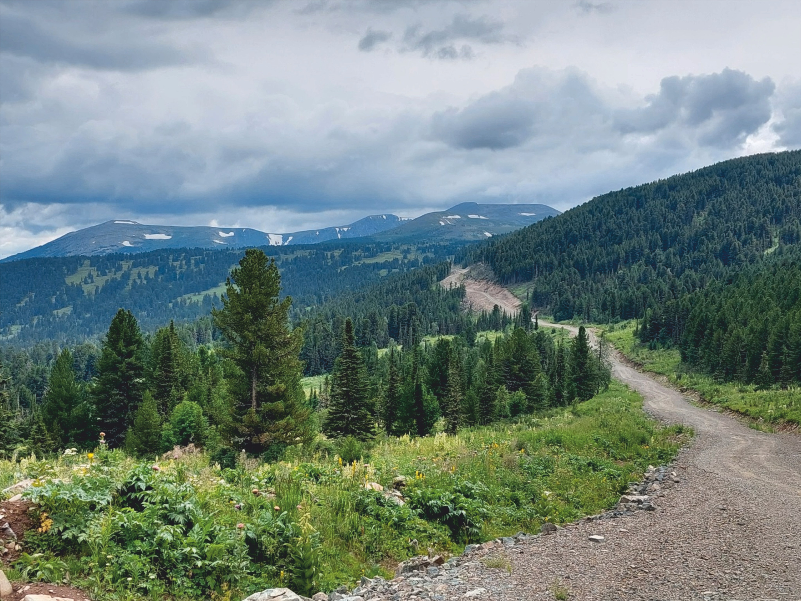 Урлу-Аспак - Каракол. Банк земельных участков Алтая