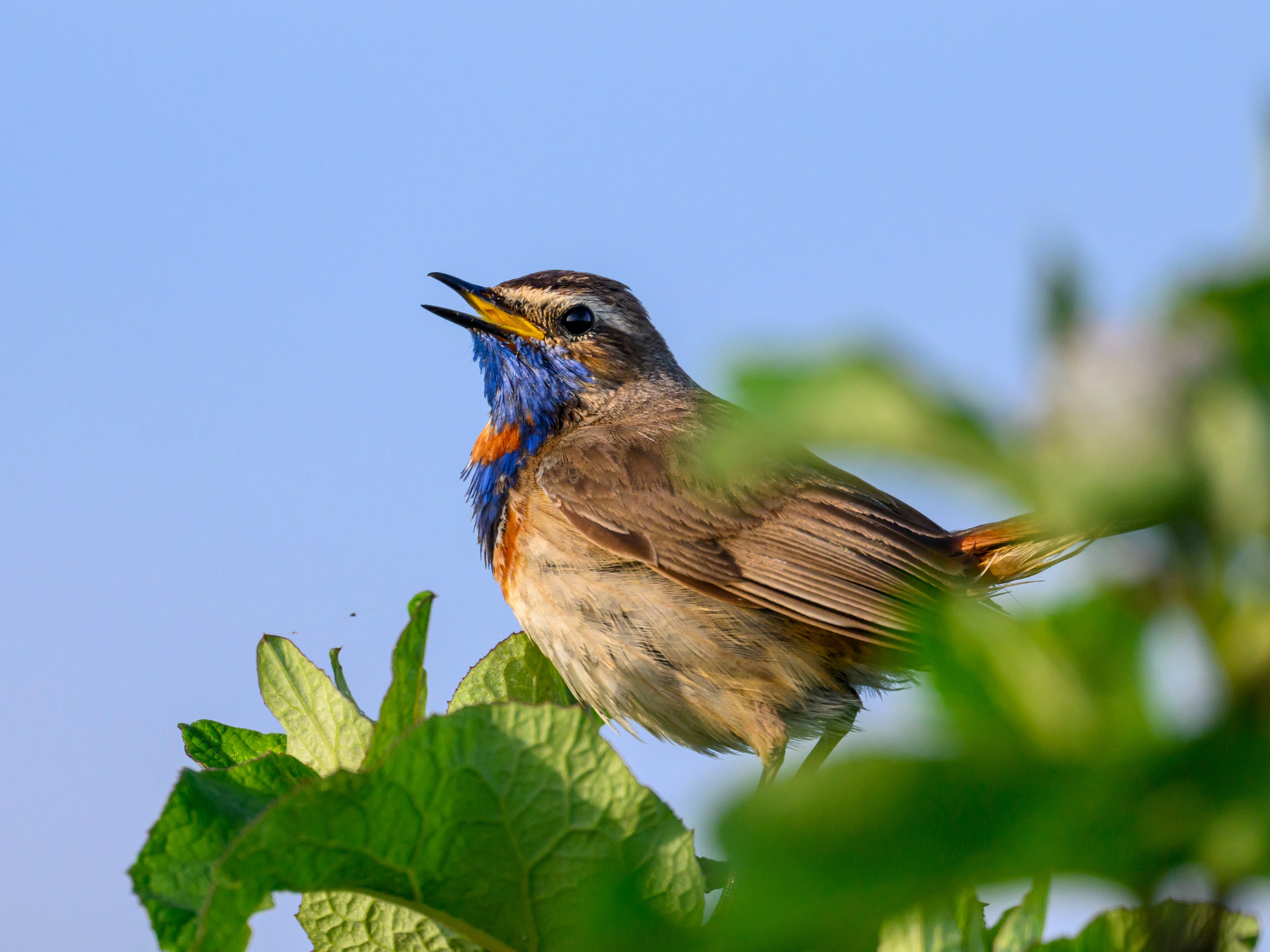 В тихом омуте черти водятся. Фотограф Сергей Пупонин
