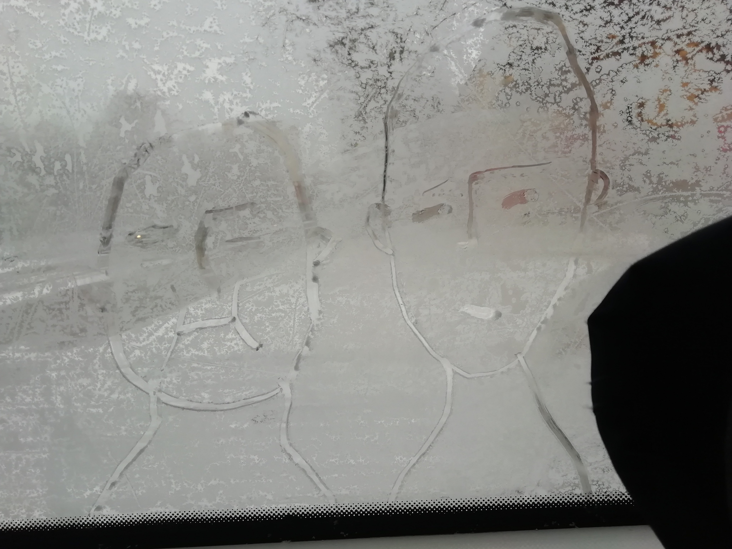 Рисункинаокнахавтобуса. Художник Рыбак Николай