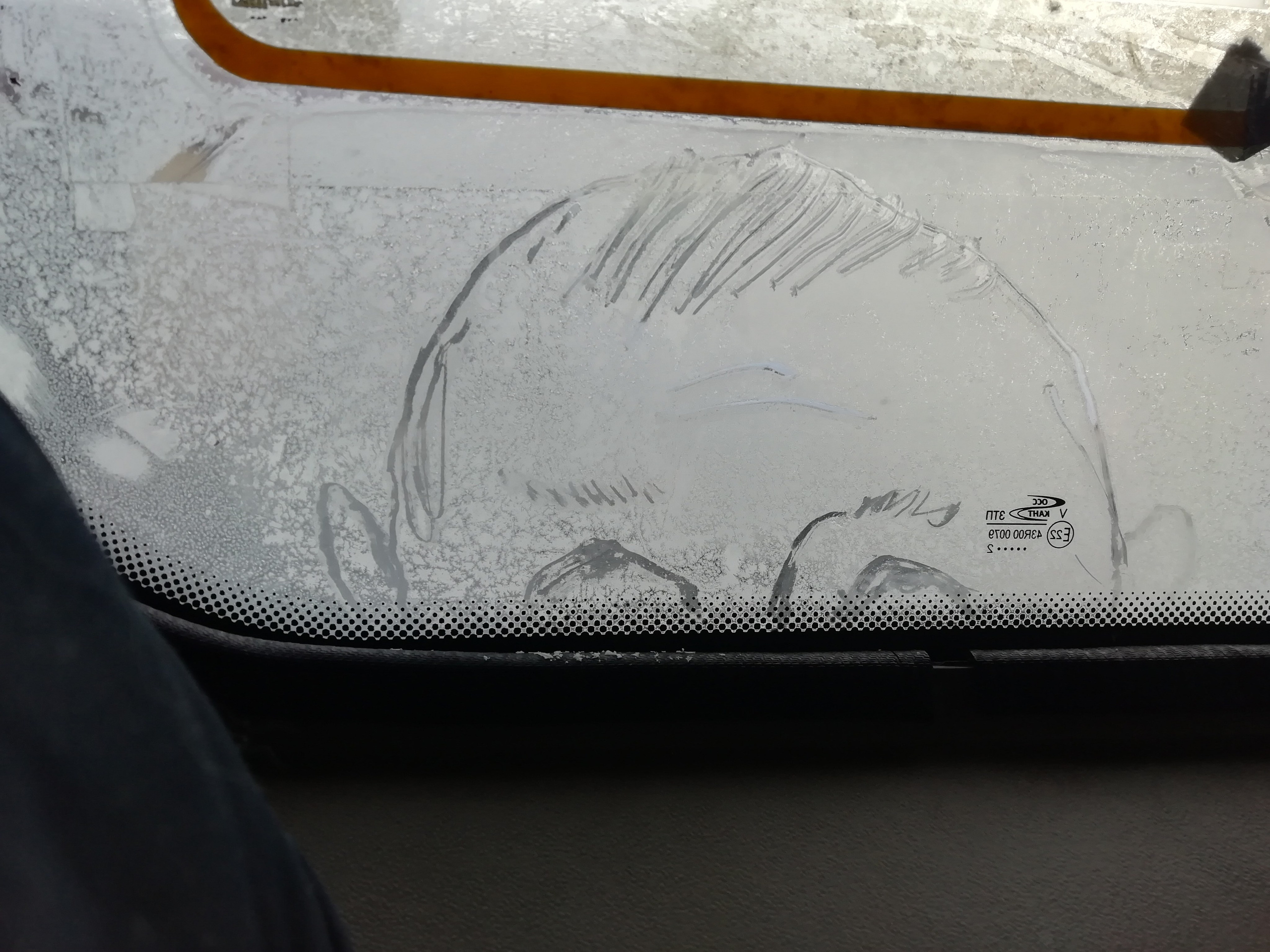 Рисункинаокнахавтобуса. Художник Рыбак Николай