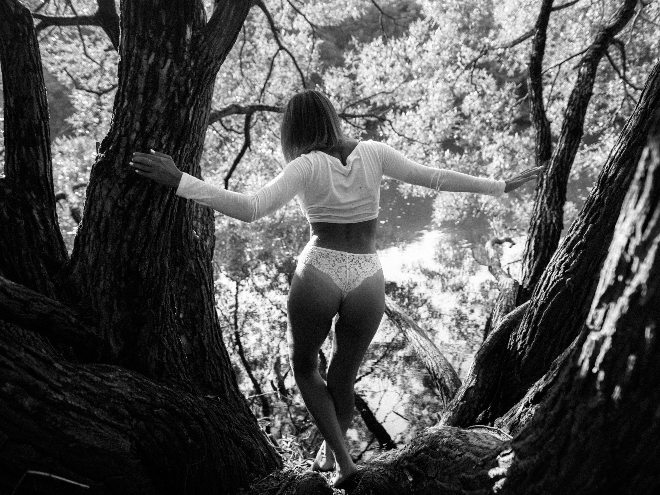 AUTHOR PRINTS. Maxim Tminov