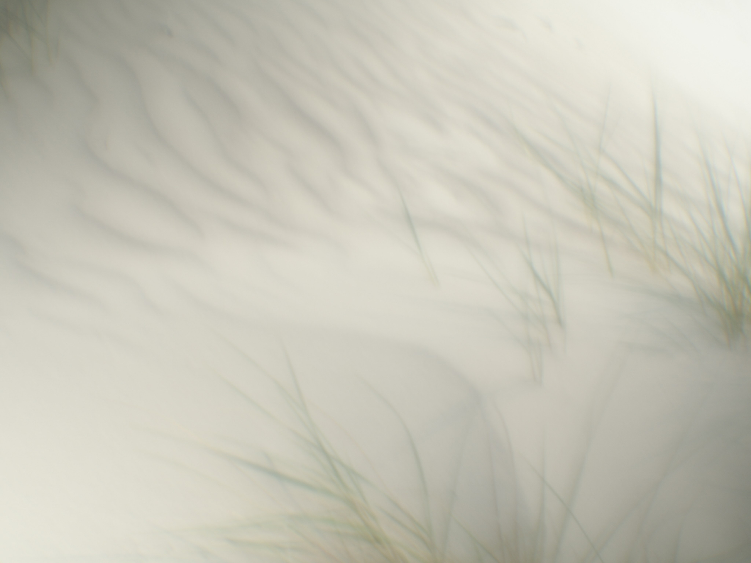 Рина Гаврилова. ARTEXPOPHOTO