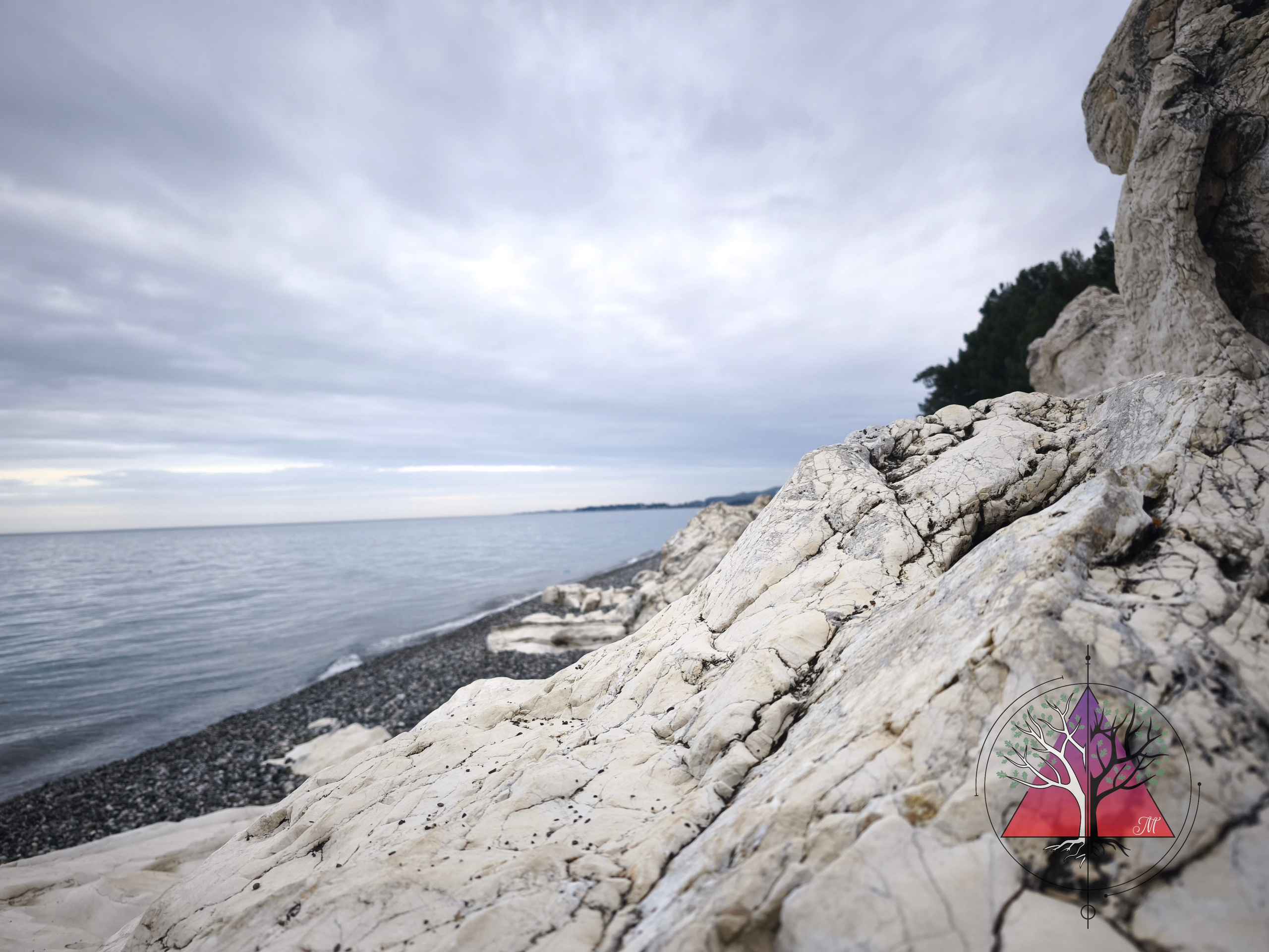 Люблю фотографировать природу. Ваш личный фотограф в Москве Мила