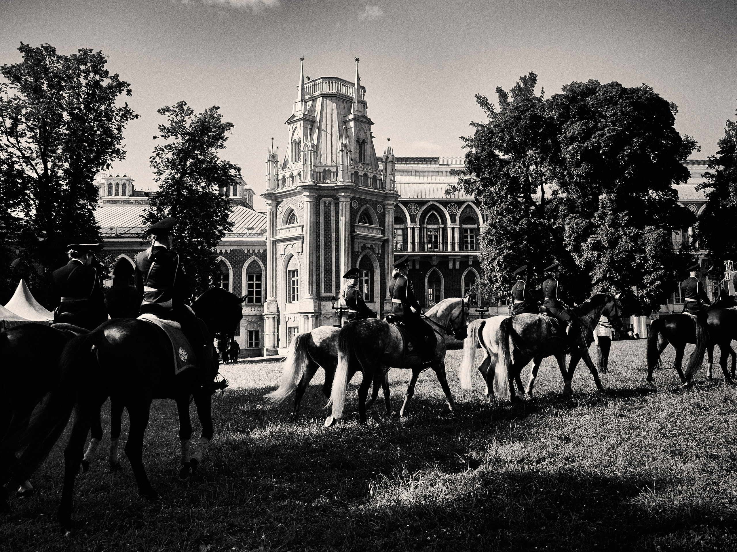 Репортаж с выступления конной полиции. Фотограф в Москве Анастасия Баева
