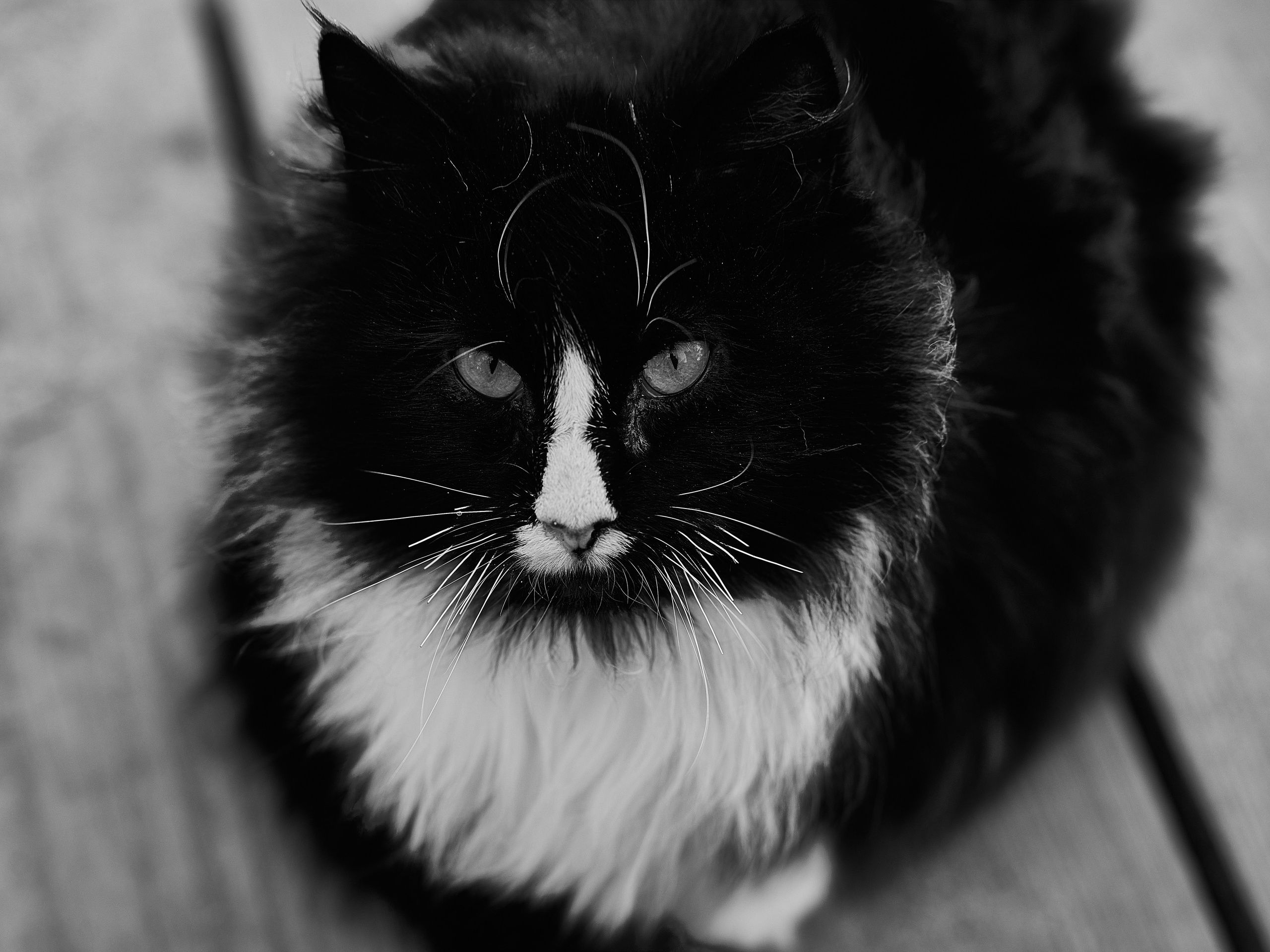 Куршская коса. Фотограф в Москве Анастасия Баева